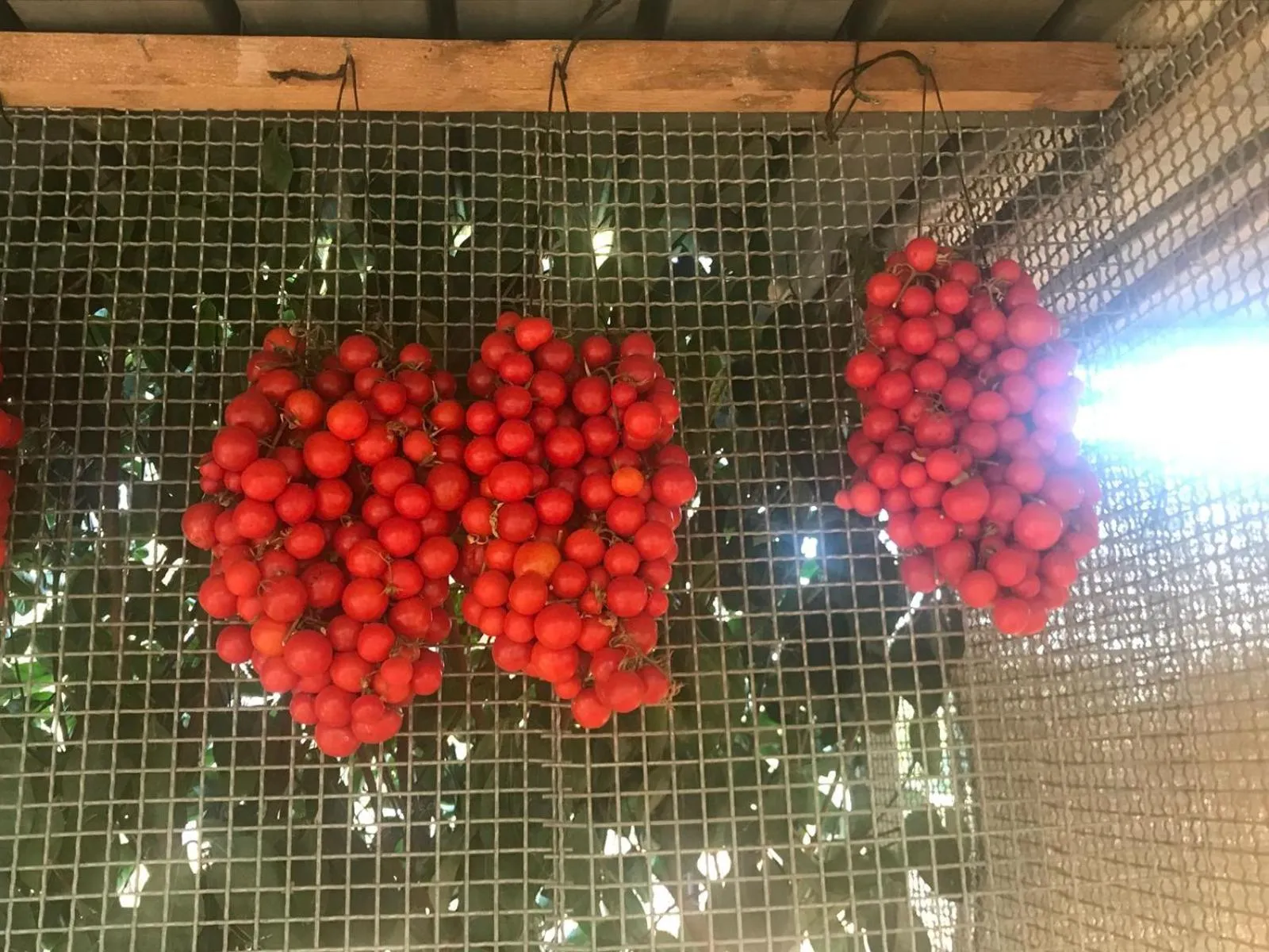 Villa Mamma Grazia Rooms