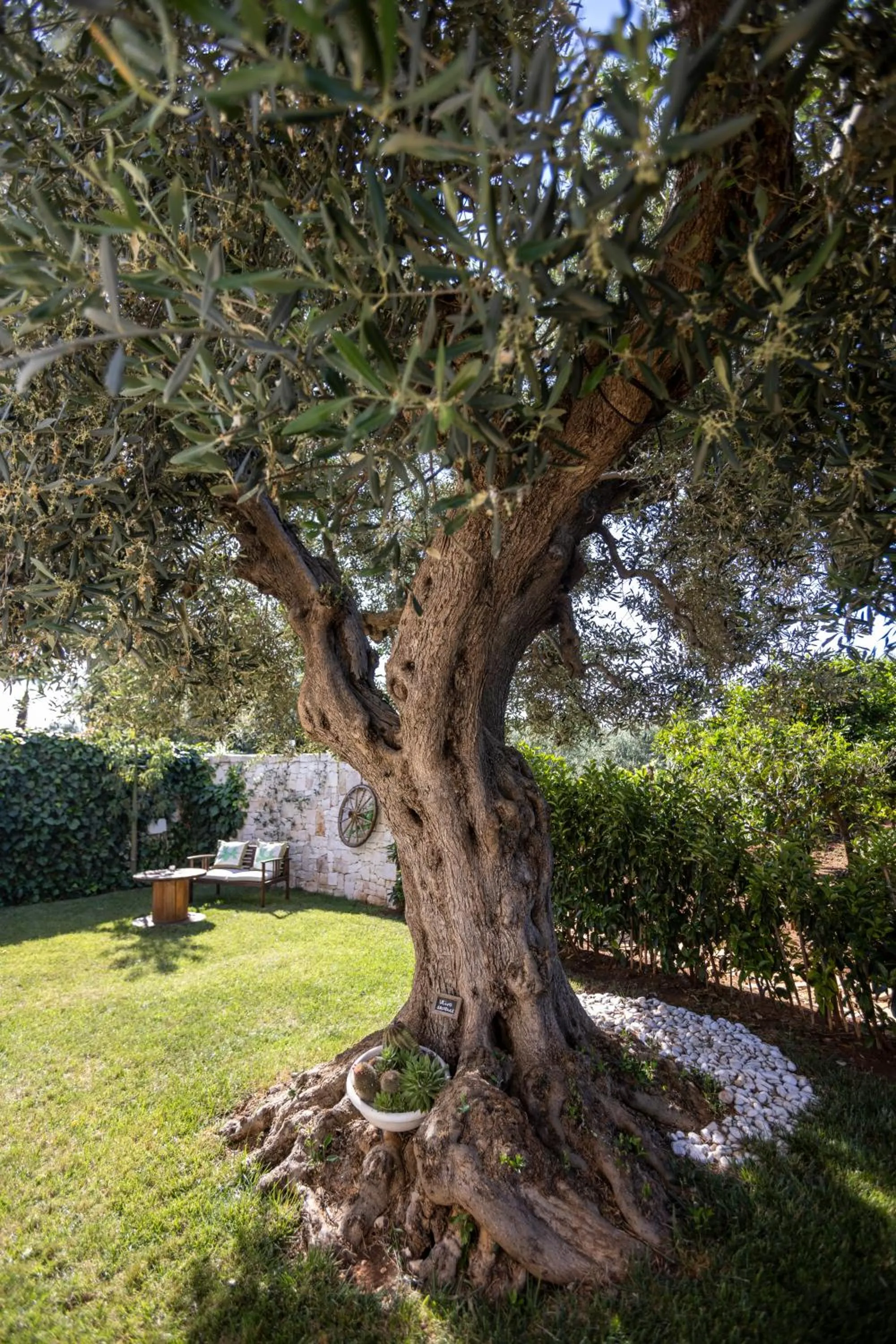 Villa Mamma Grazia Rooms