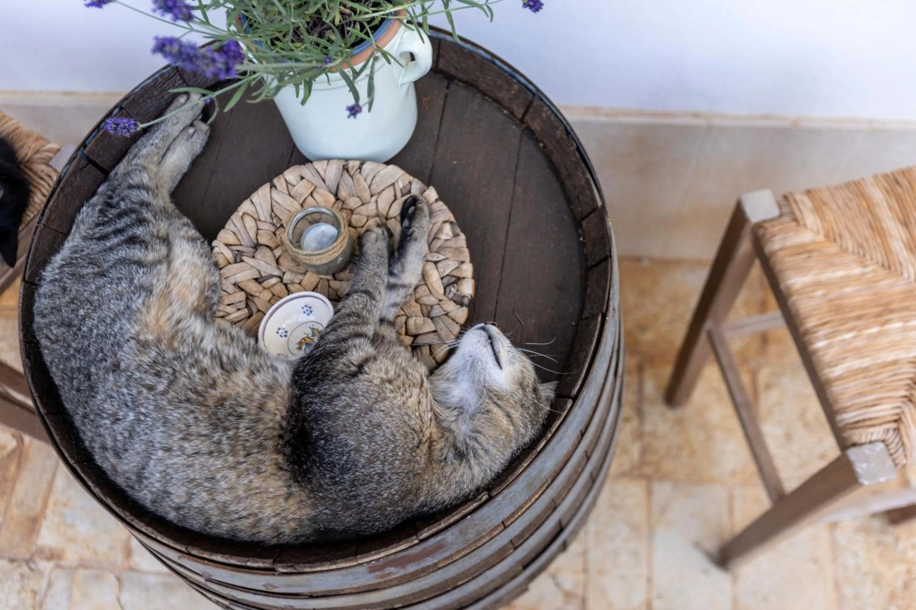 Villa Mamma Grazia Rooms