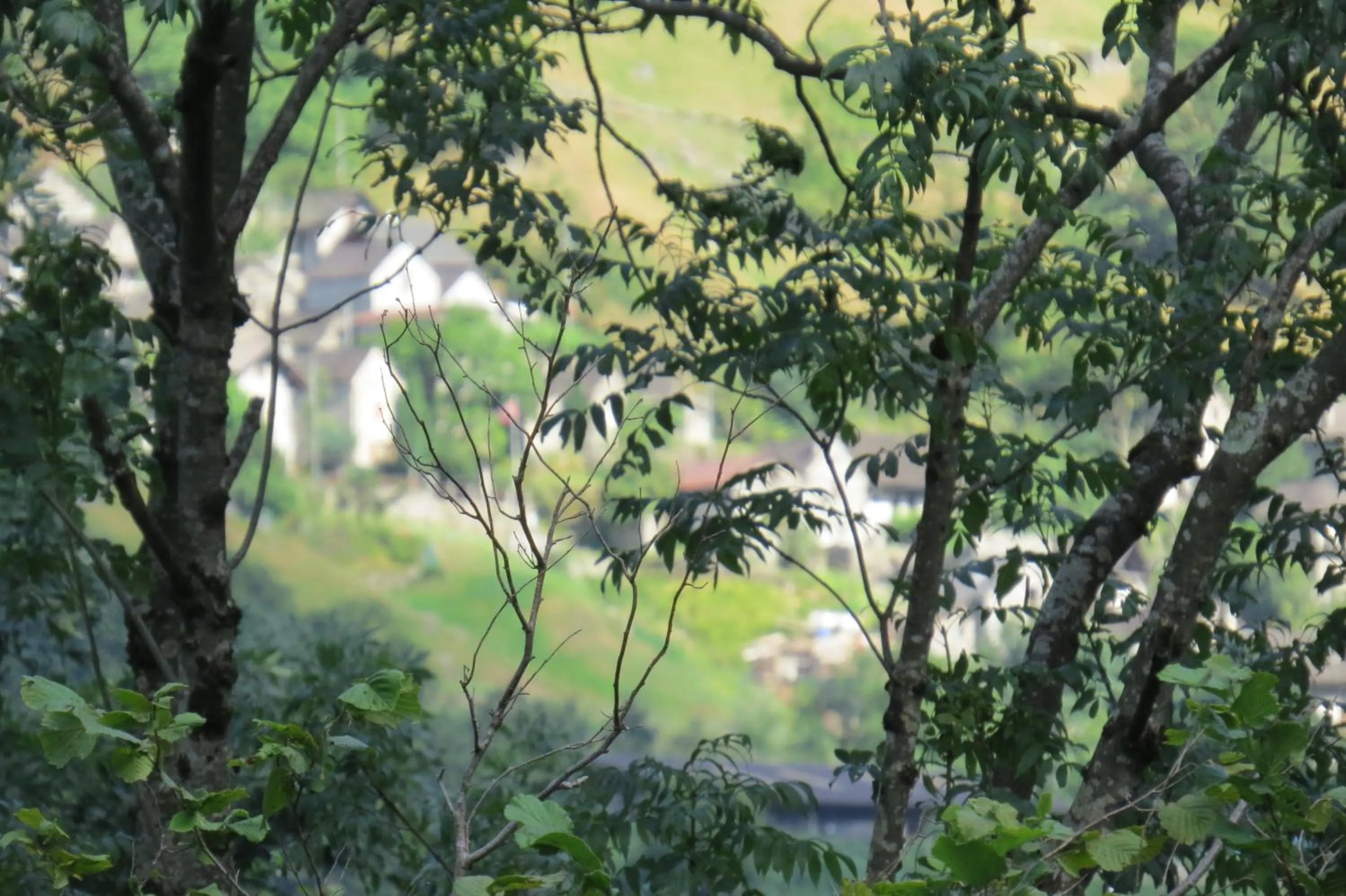 Hiking in Hotel Pizzo Vogorno