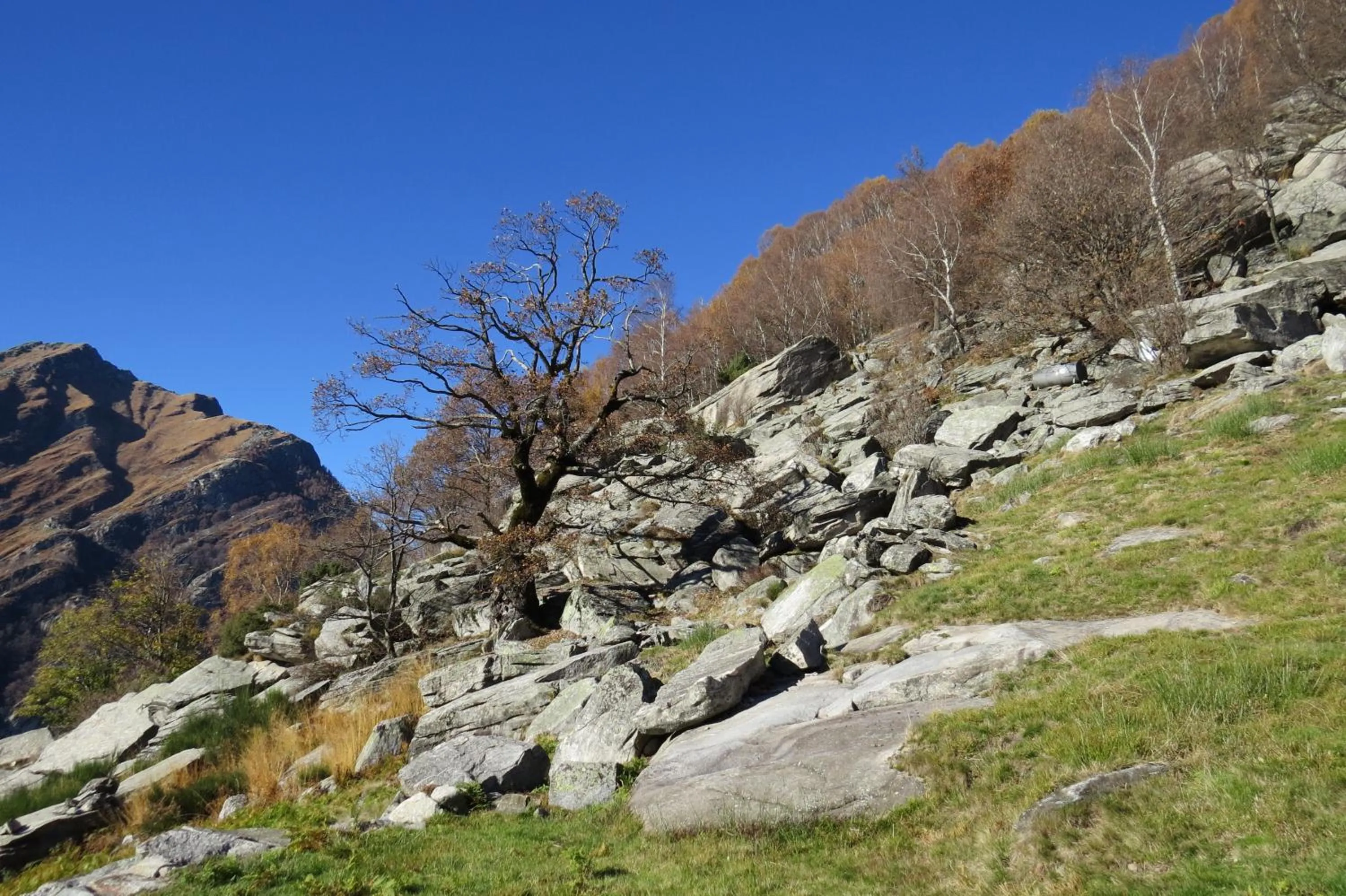 Nearby landmark in Hotel Pizzo Vogorno