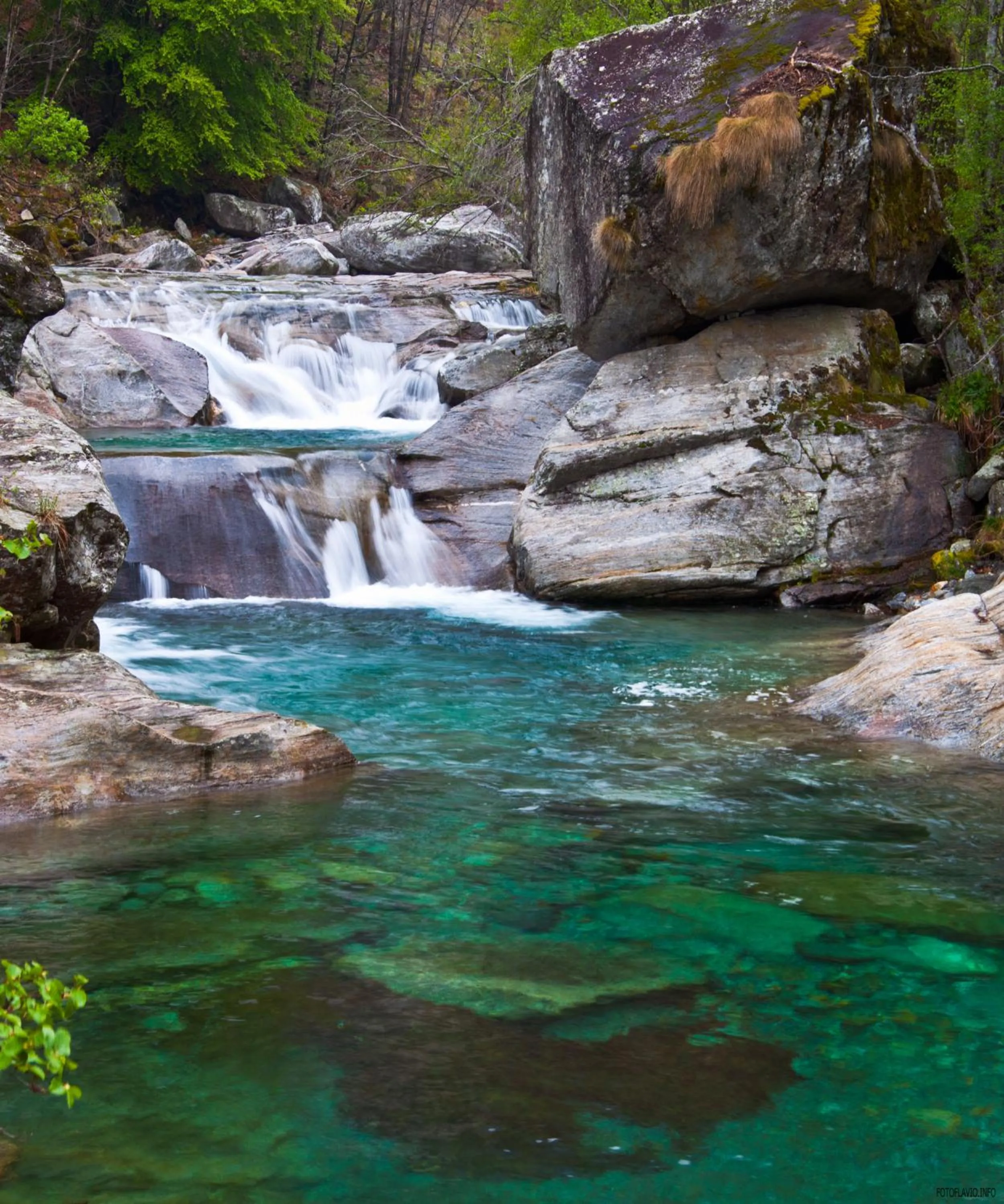Area and facilities in Hotel Pizzo Vogorno