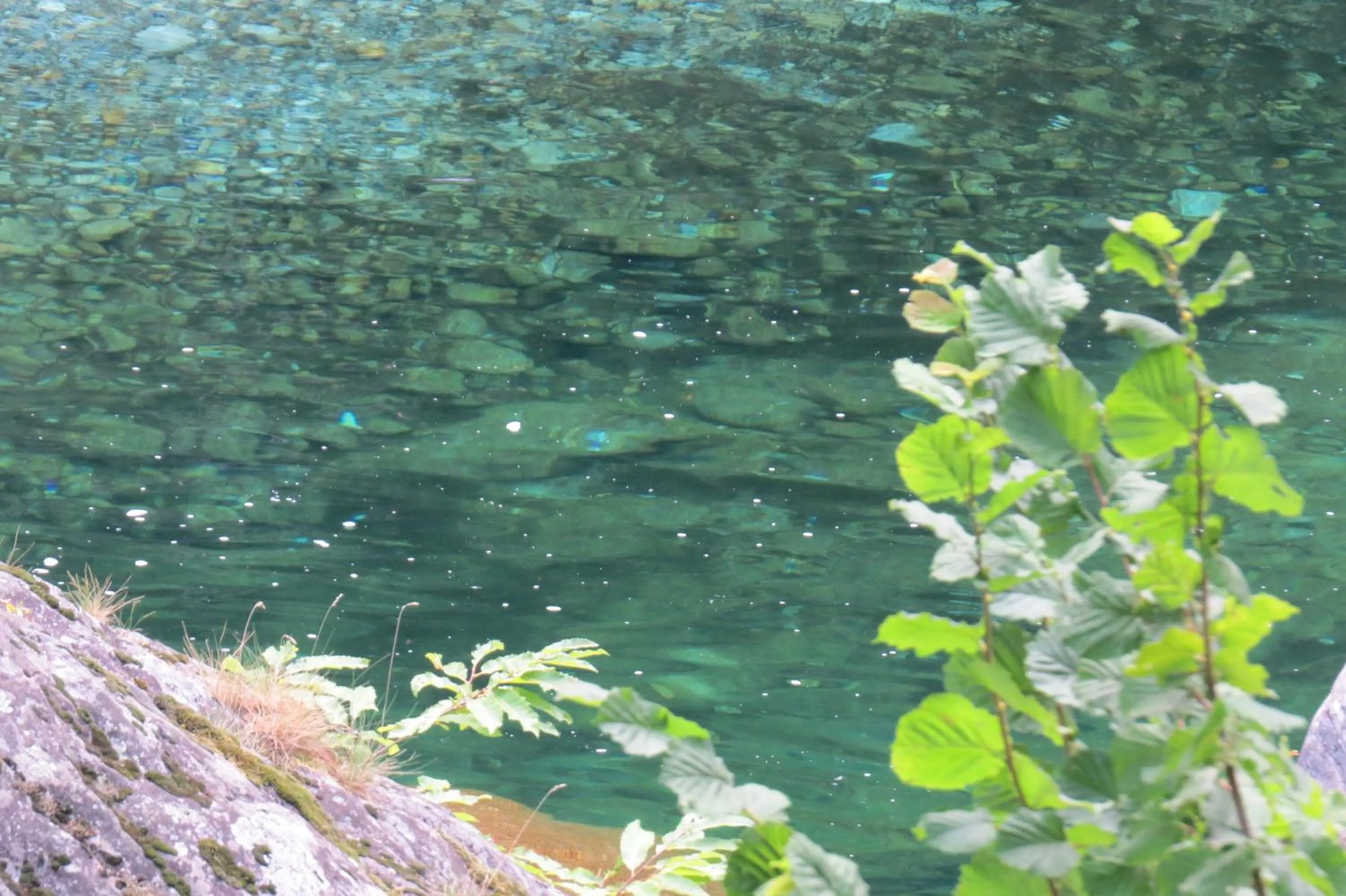 Diving in Hotel Pizzo Vogorno