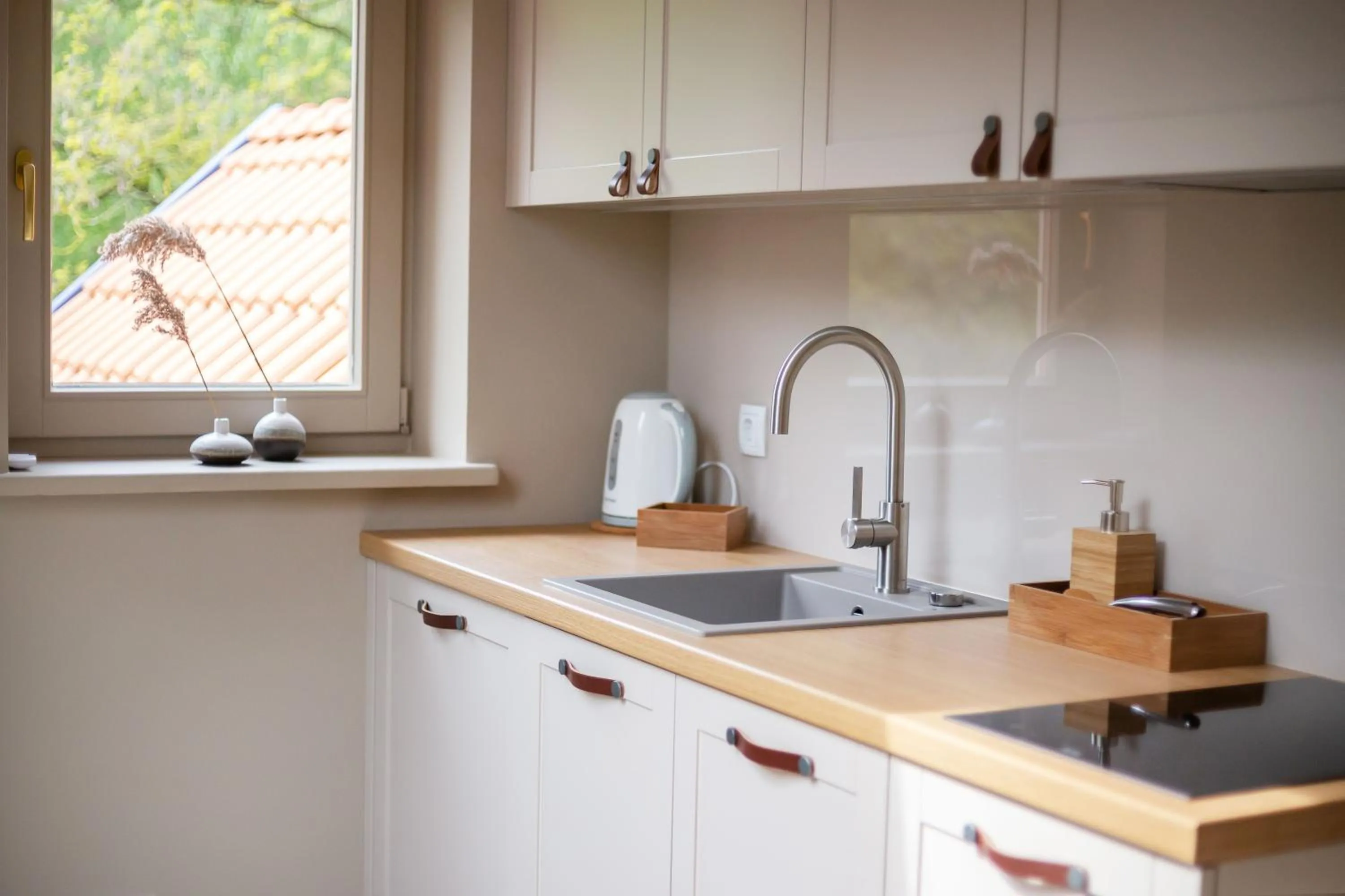 Kitchen or kitchenette in Nidos Banga