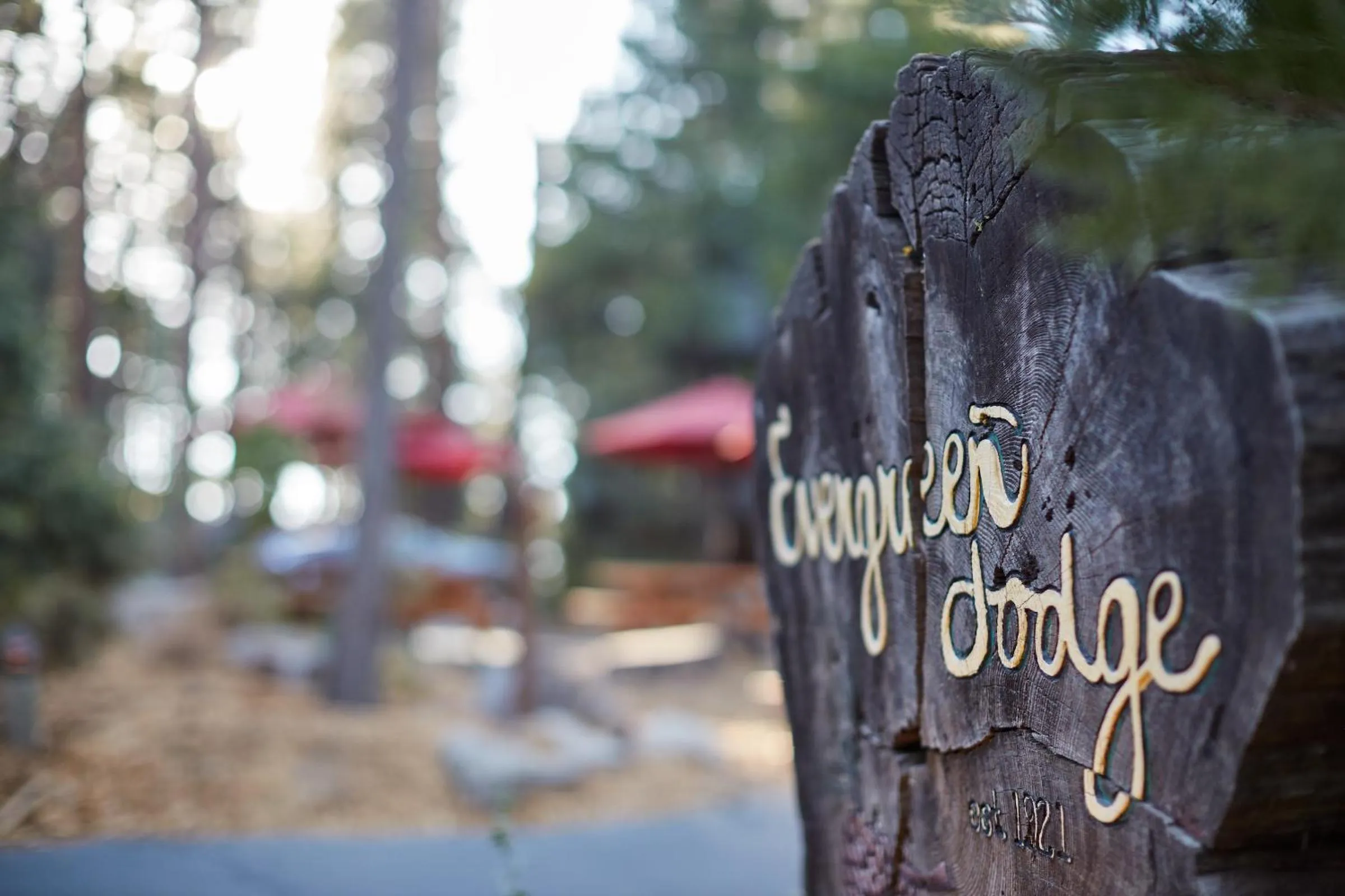 Property logo or sign in Evergreen Lodge at Yosemite