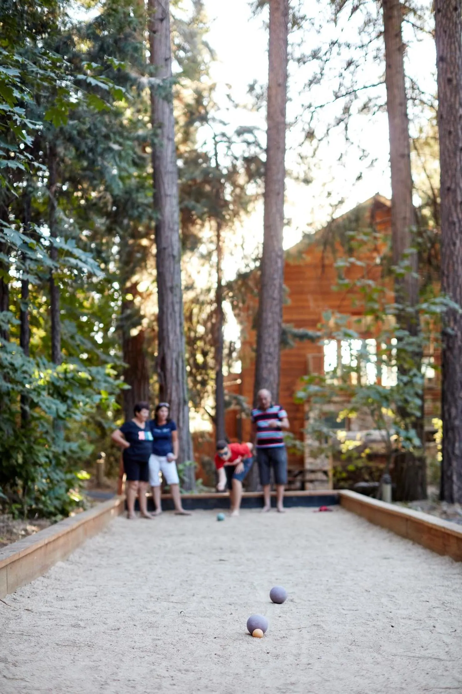 Activities in Evergreen Lodge at Yosemite
