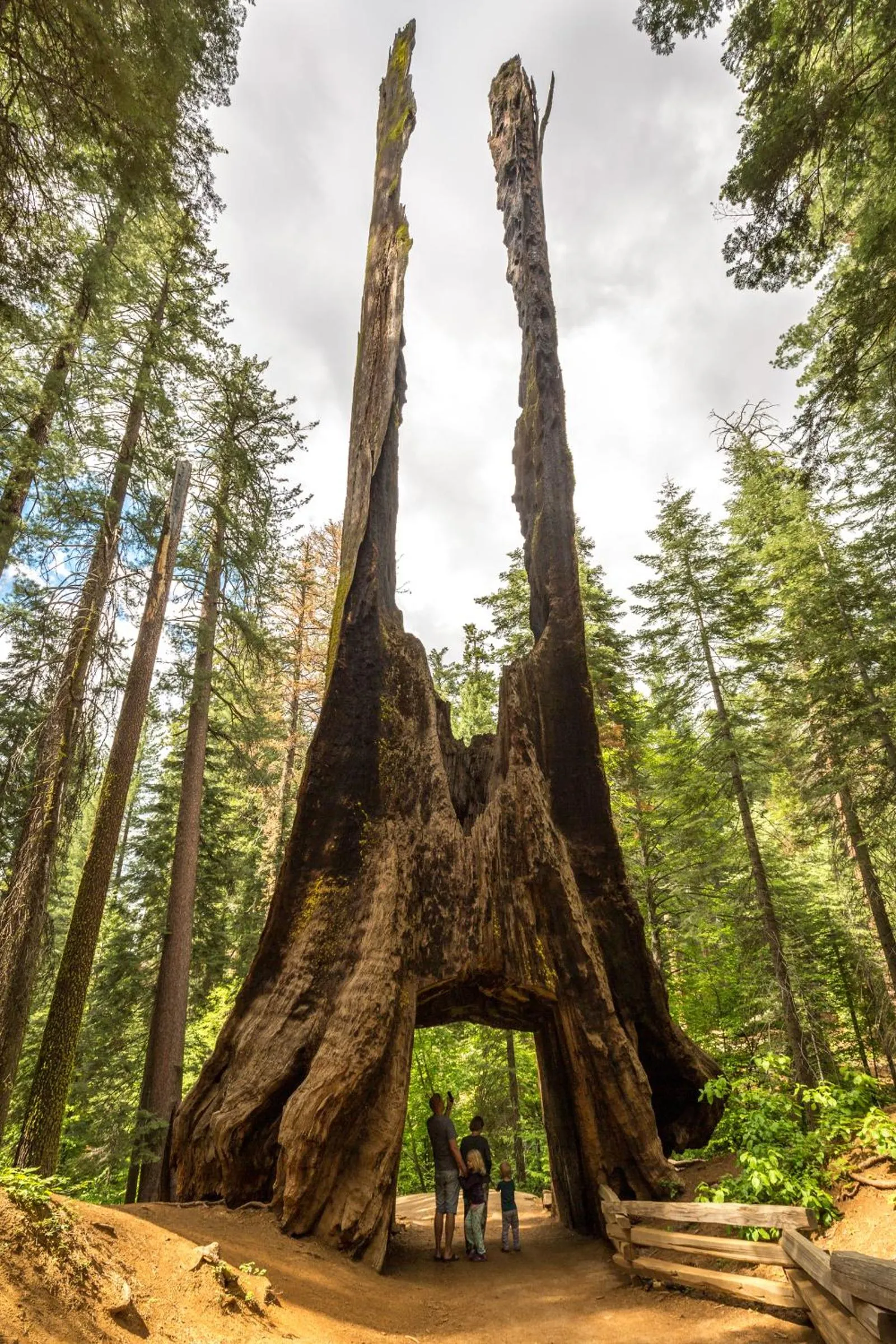 Nearby landmark in Evergreen Lodge at Yosemite