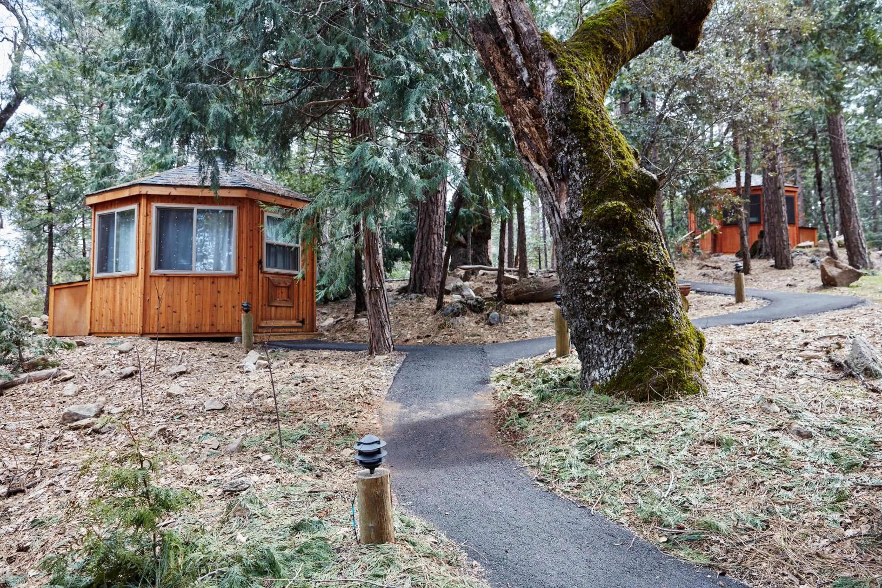 Massage in Evergreen Lodge at Yosemite