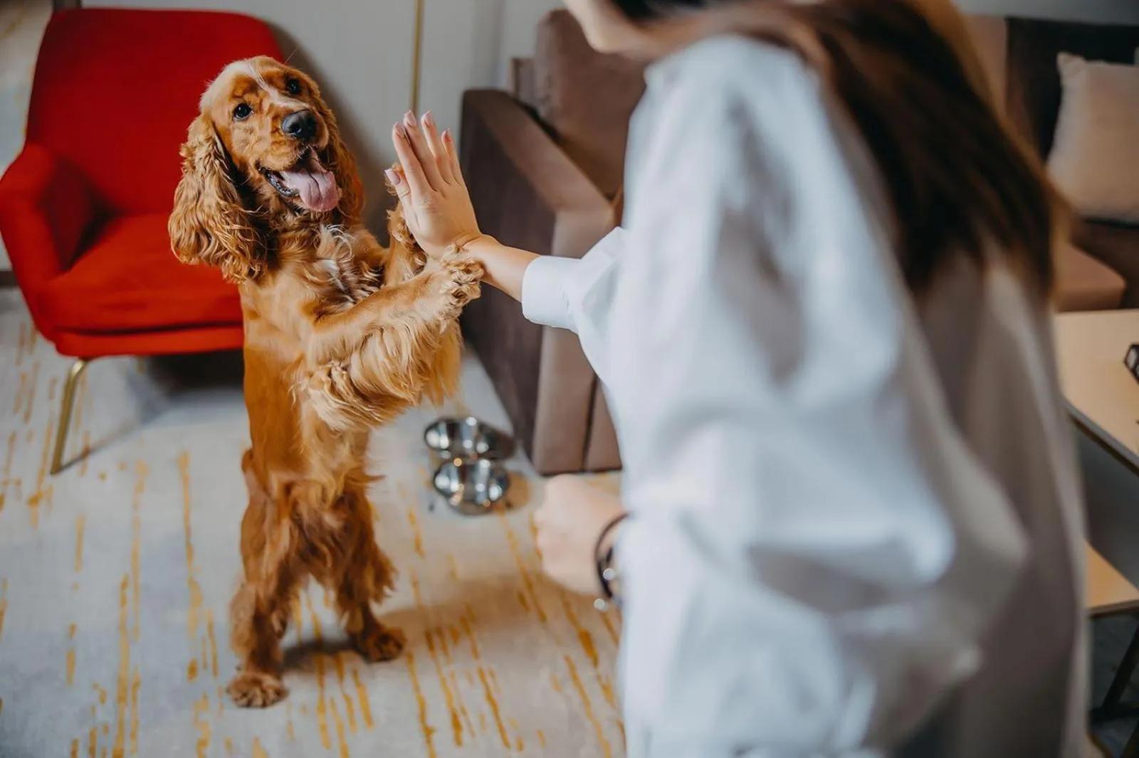 Animals in Five Seasons Szklarska Poręba