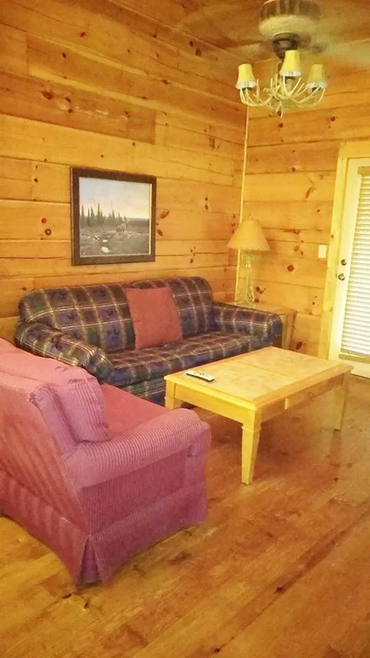 Living room in Grandview Experience Lodge