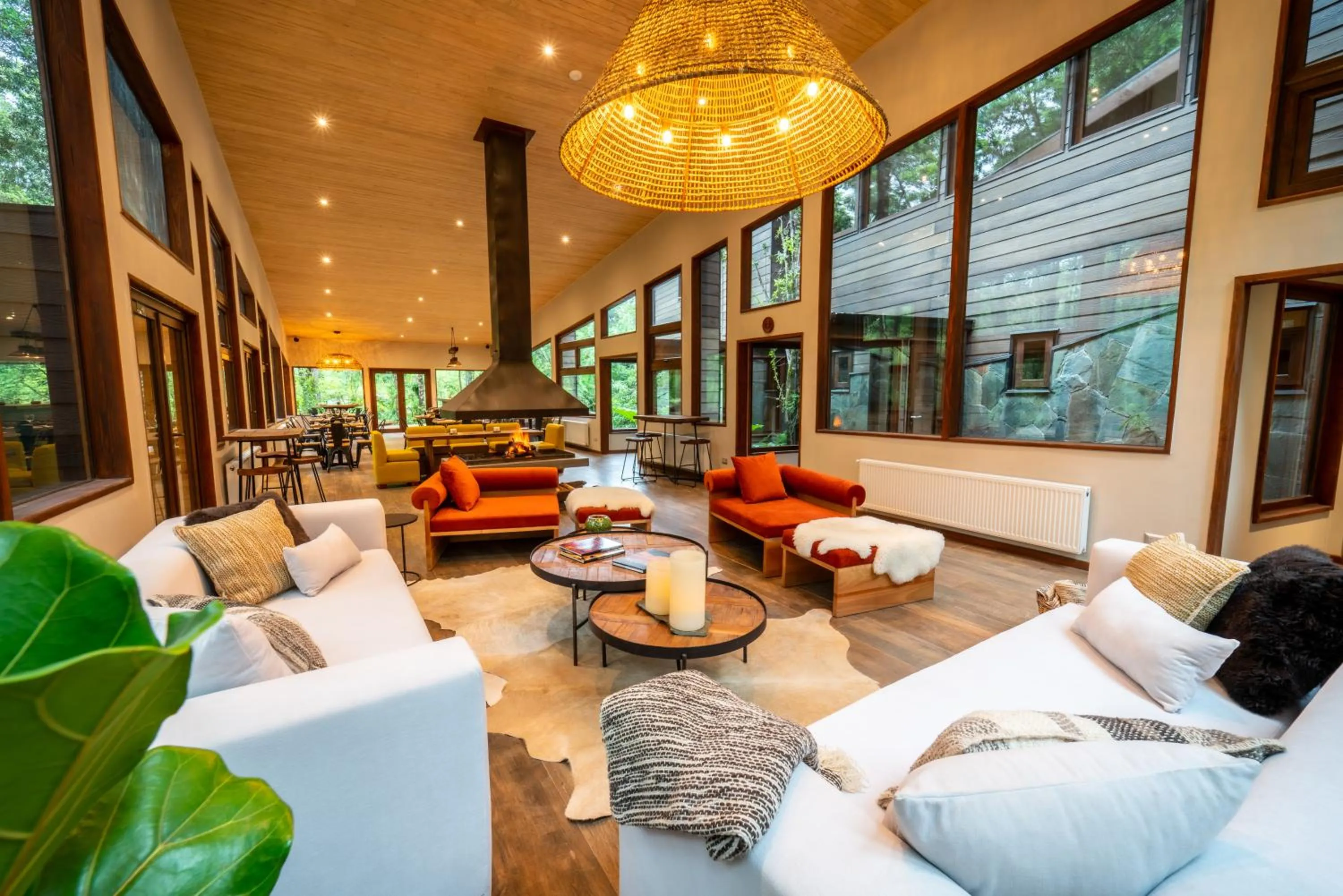 Living room in Rakau Lodge