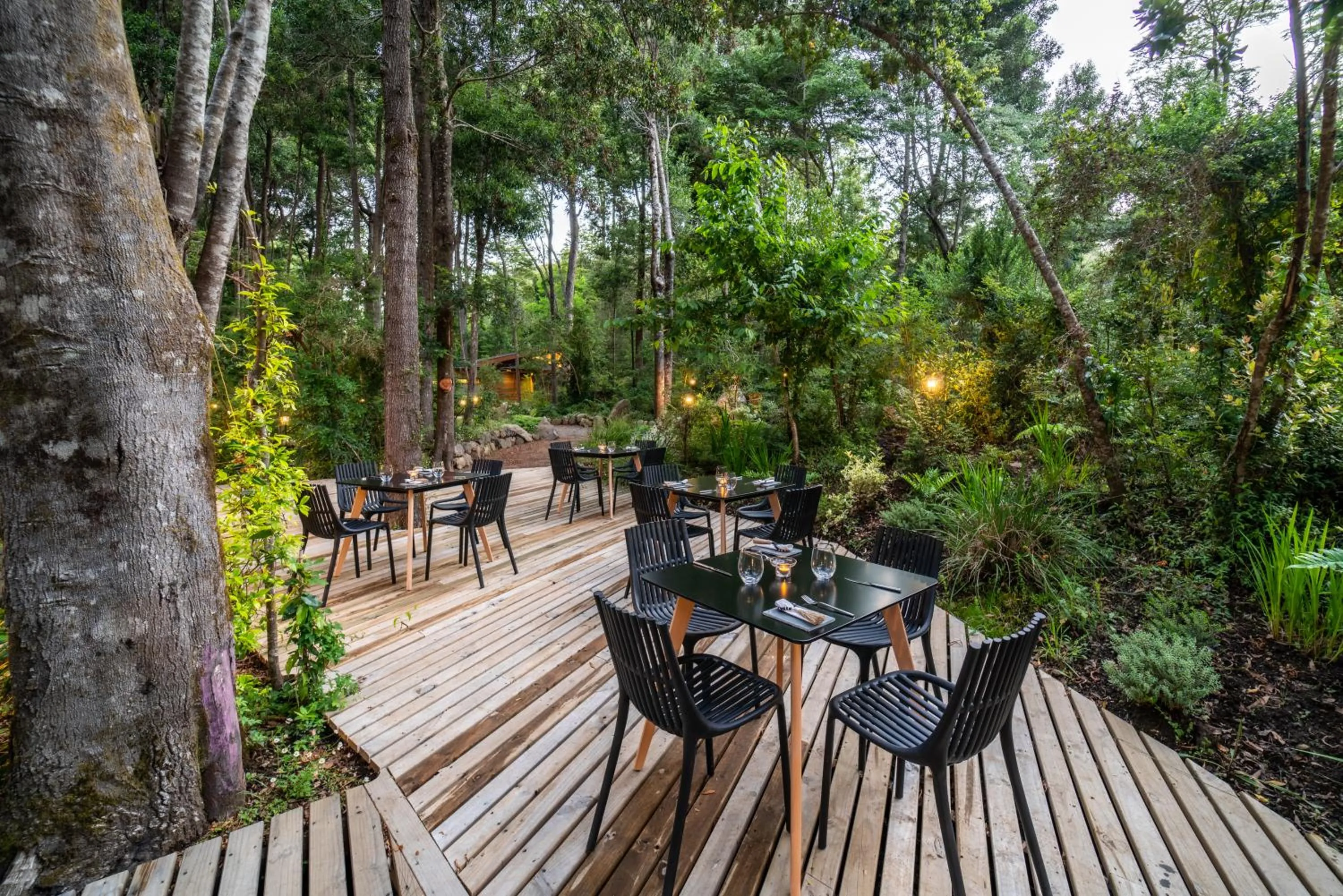 Balcony/Terrace in Rakau Lodge