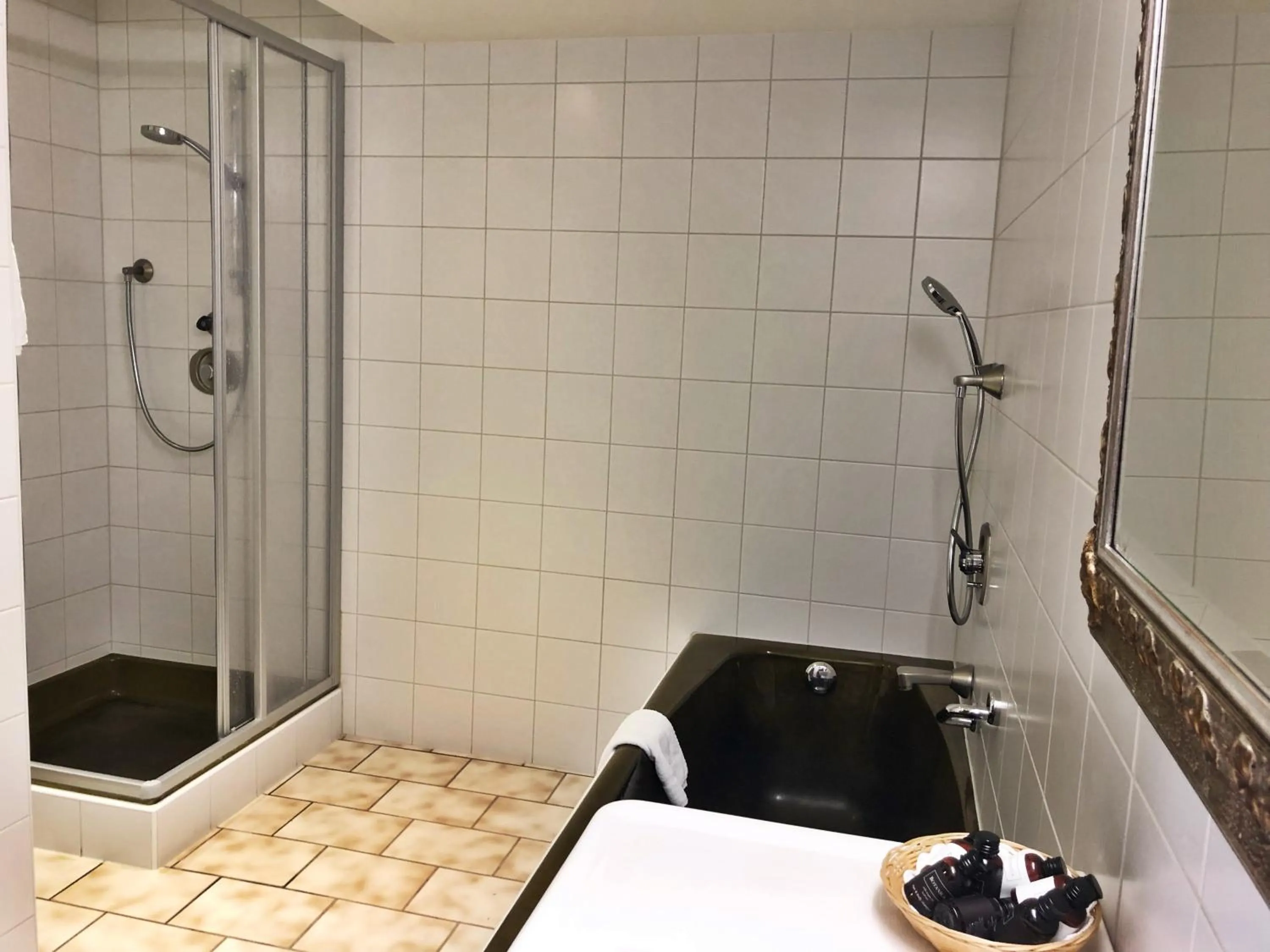 Bathroom in derNeuwirt