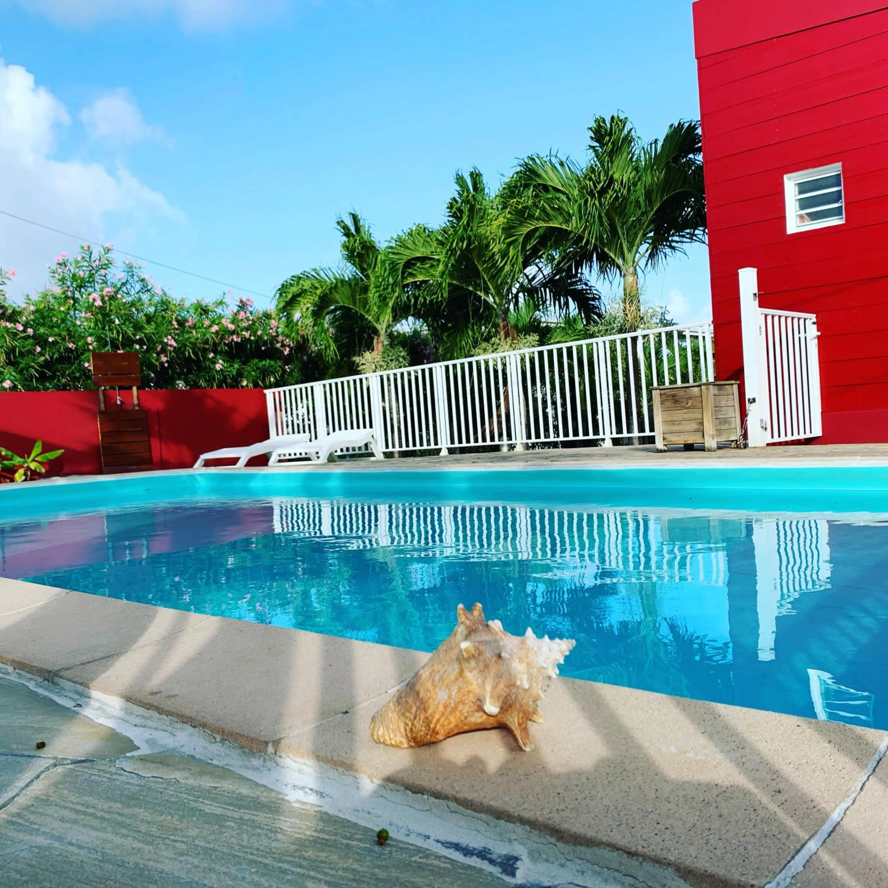 Swimming pool in Les plages de Macabou