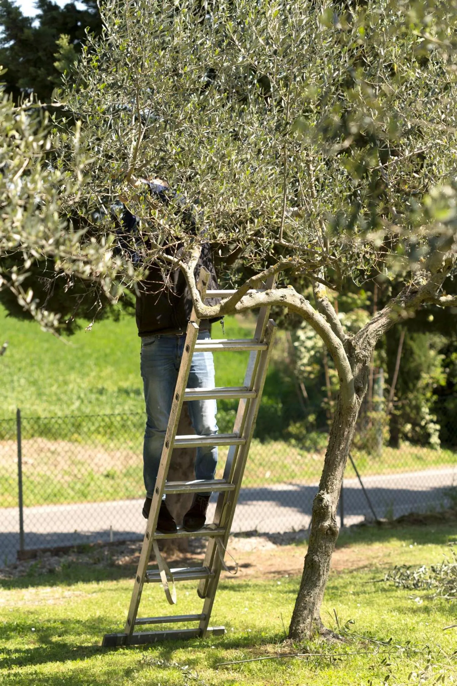 Bed&Breakfast Il Frantoio