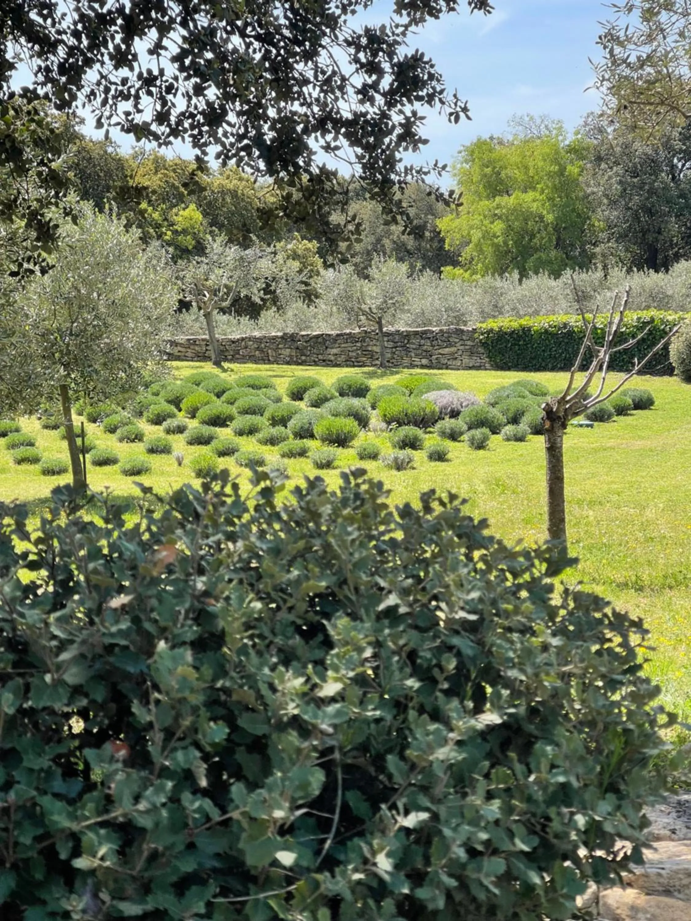 Garden in Le Mas de Béthel