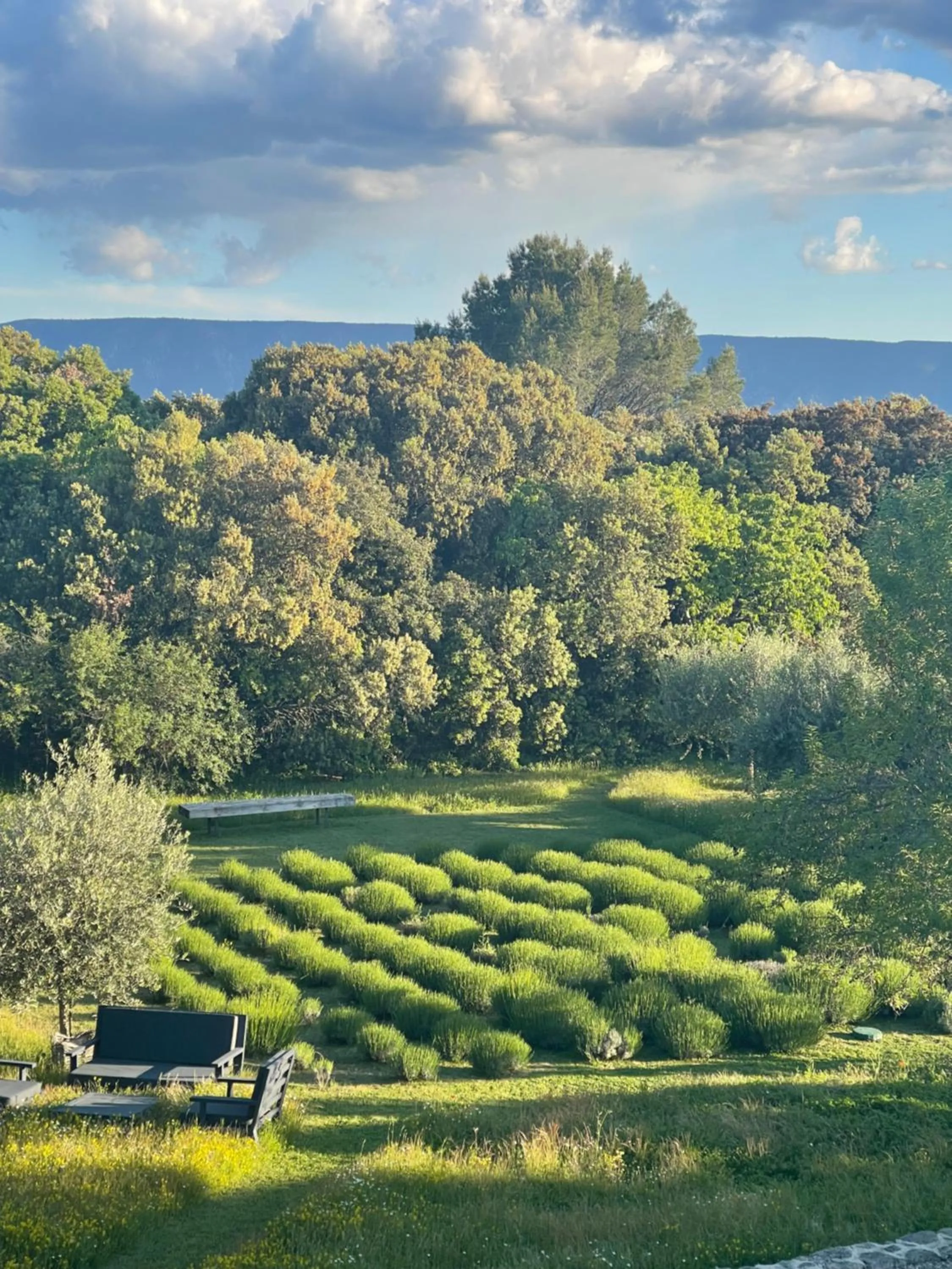 Garden in Le Mas de Béthel
