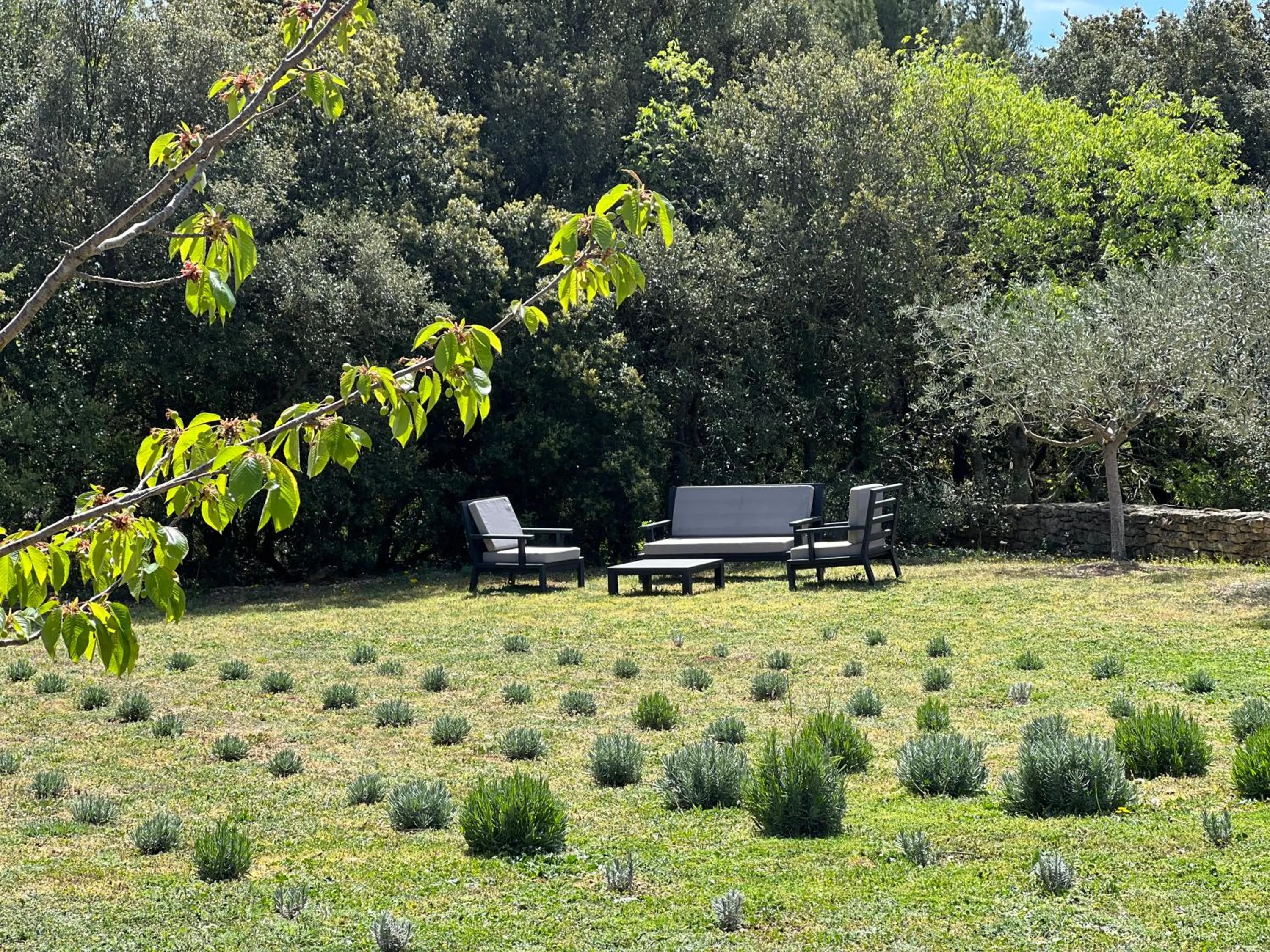 Garden in Le Mas de Béthel