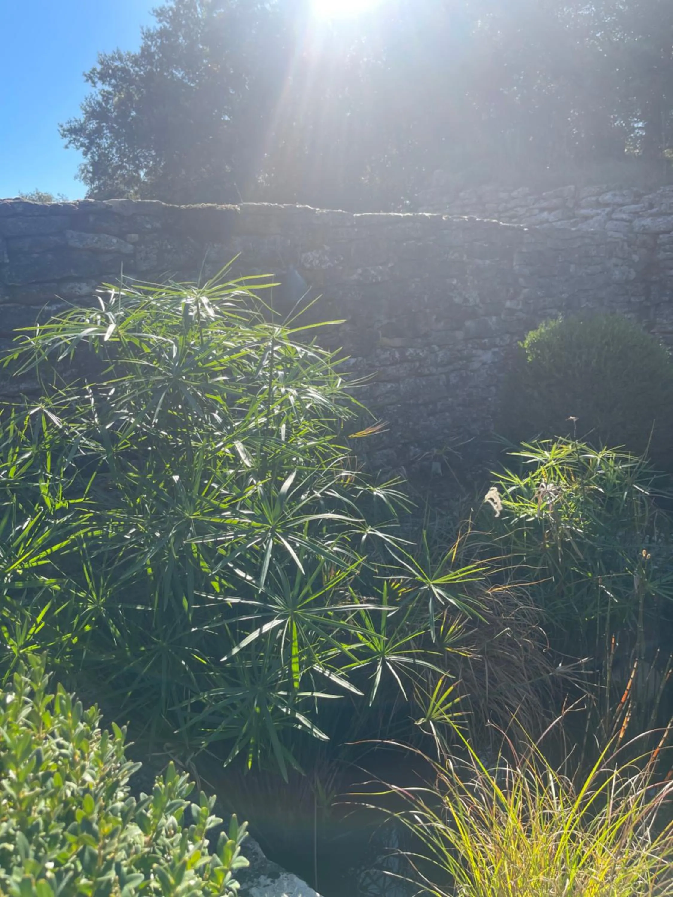 Swimming pool in Le Mas de Béthel
