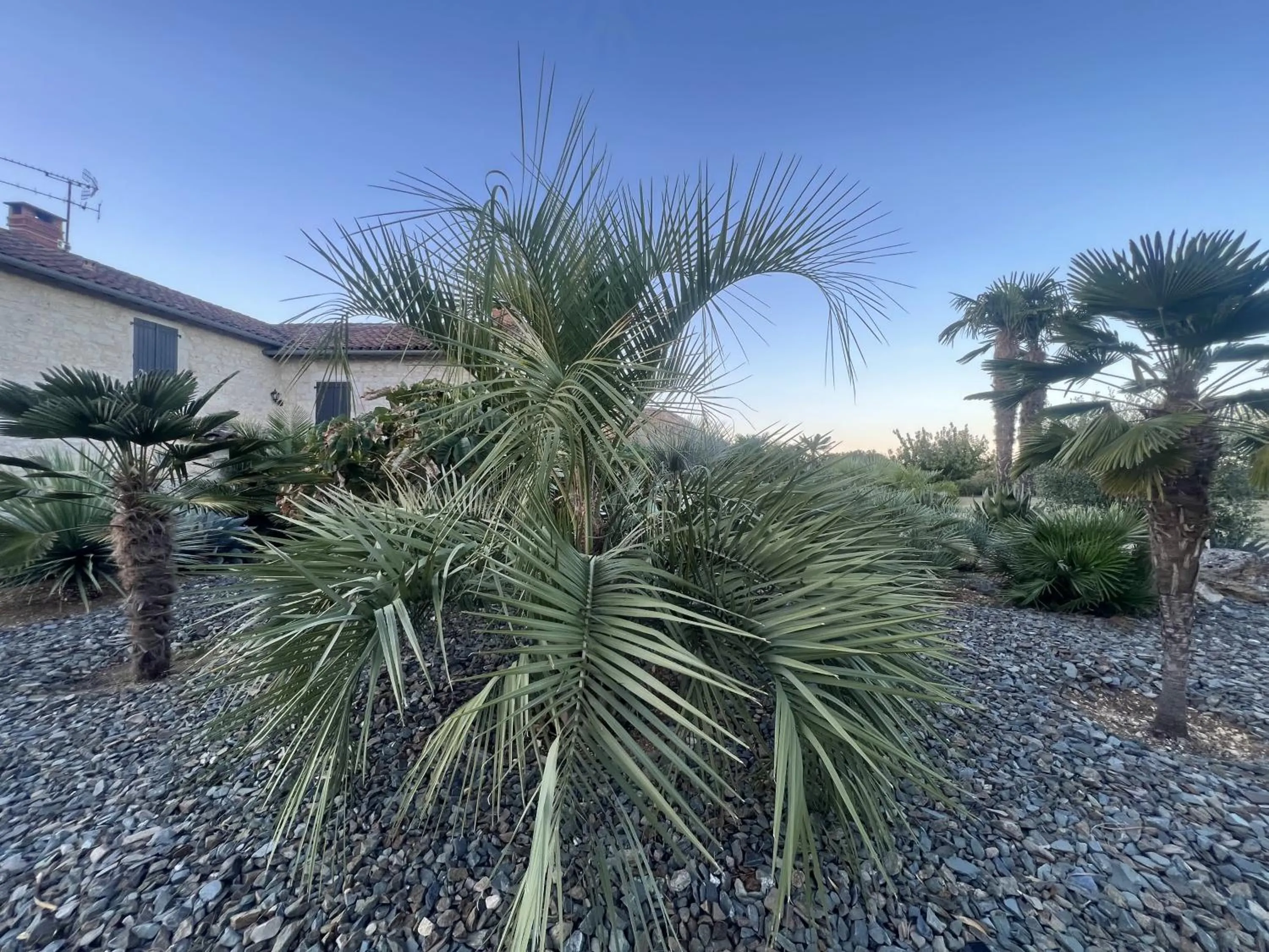 Garden in Le Relais des Chevaliers "La Suite des Seigneurs"