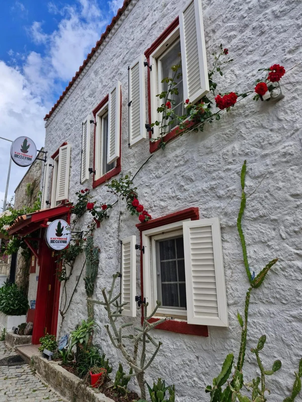 Property building in kaktüshan otel
