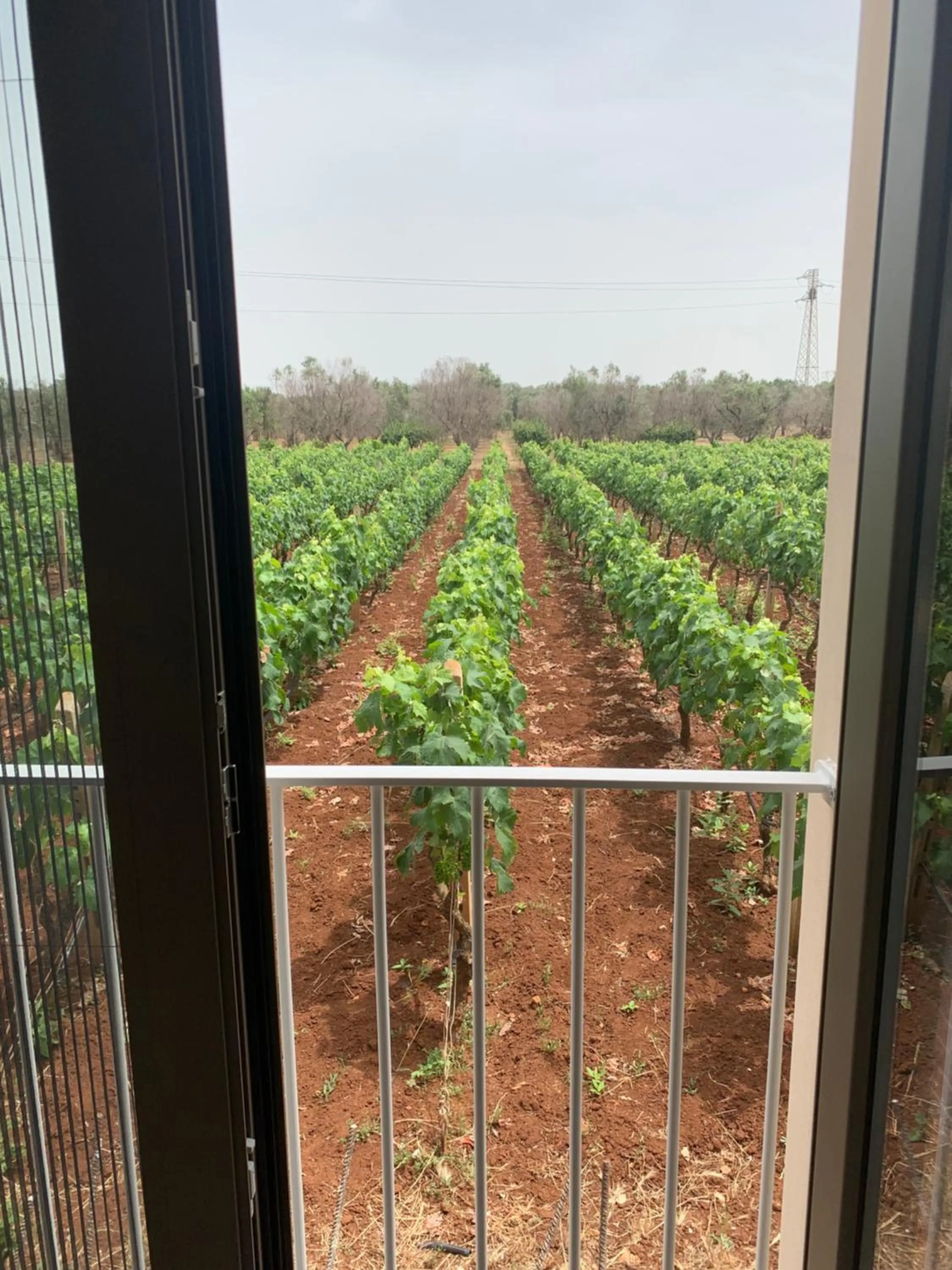 Garden view in B&B CASA CALETA
