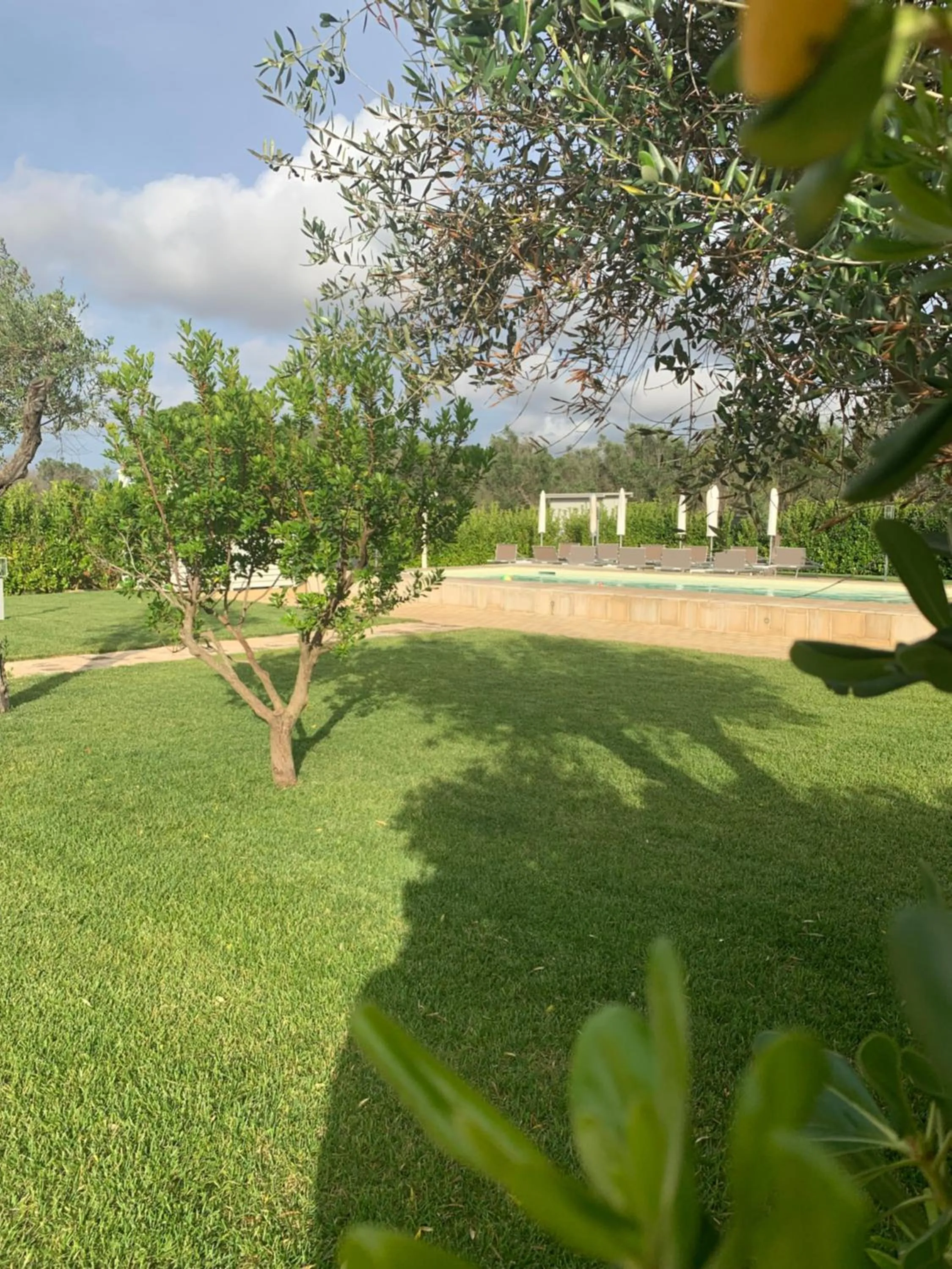 Garden in B&B CASA CALETA