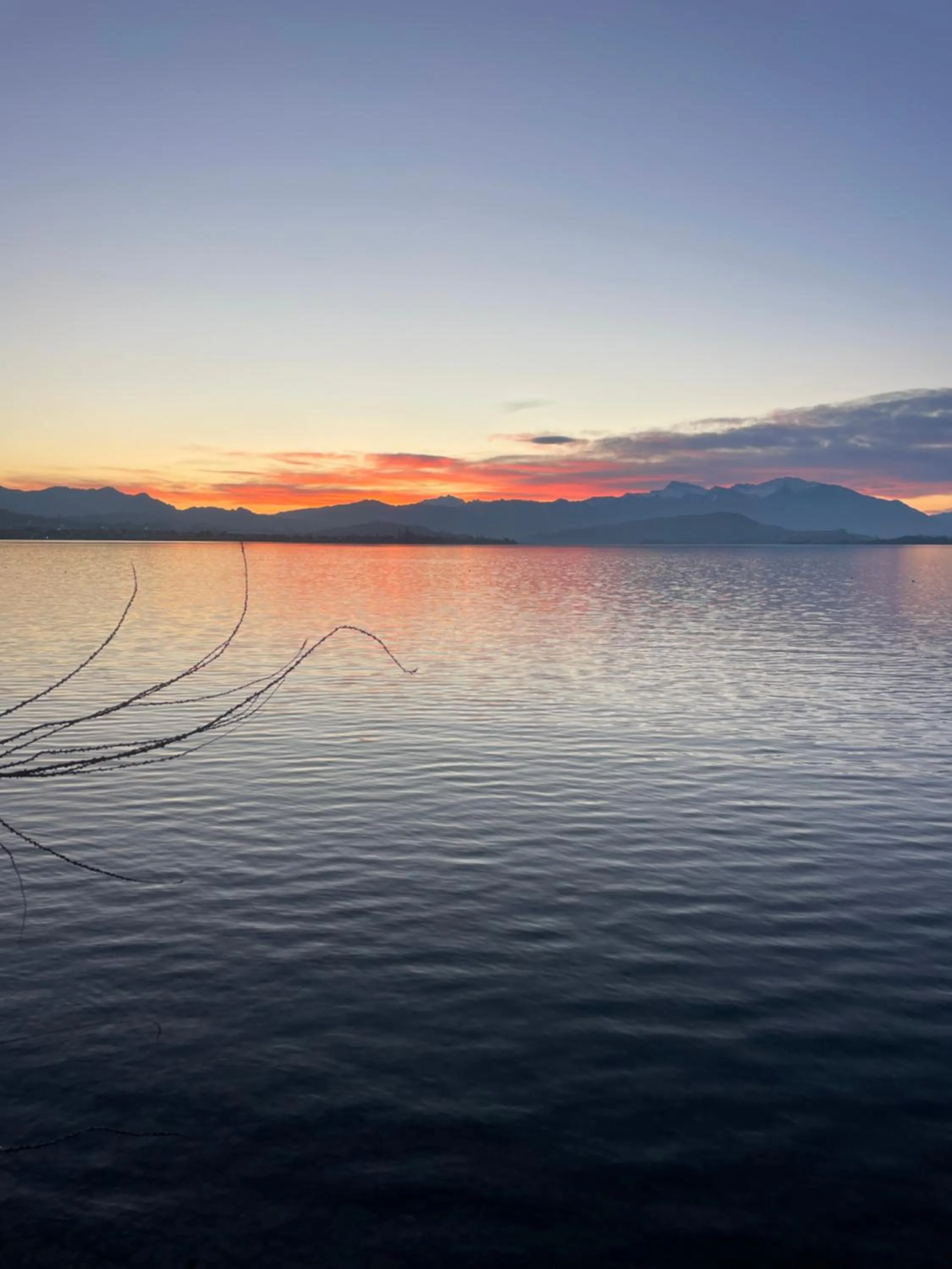 Garden in Rössli Hurden