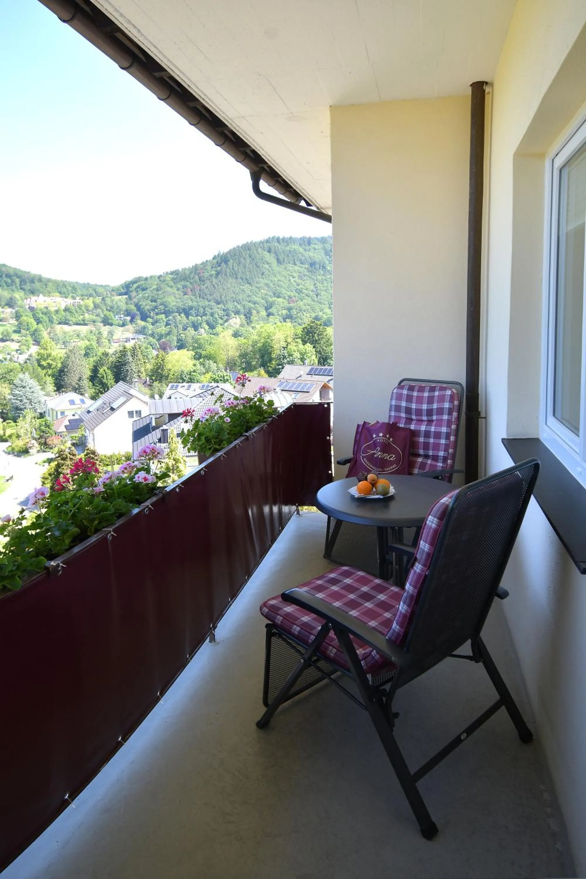 Balcony/Terrace in Hotel Anna