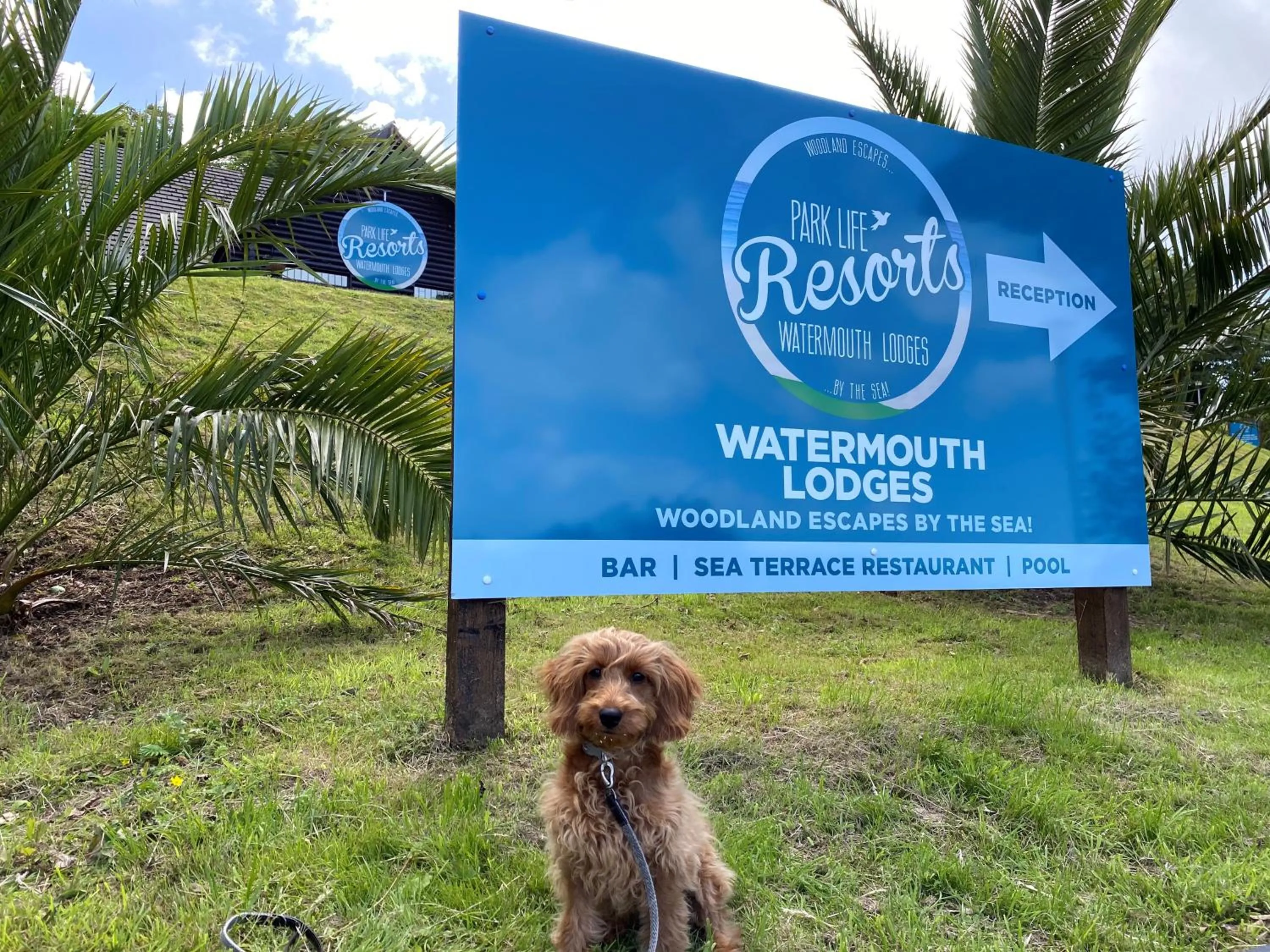 Pets in Watermouth Lodges