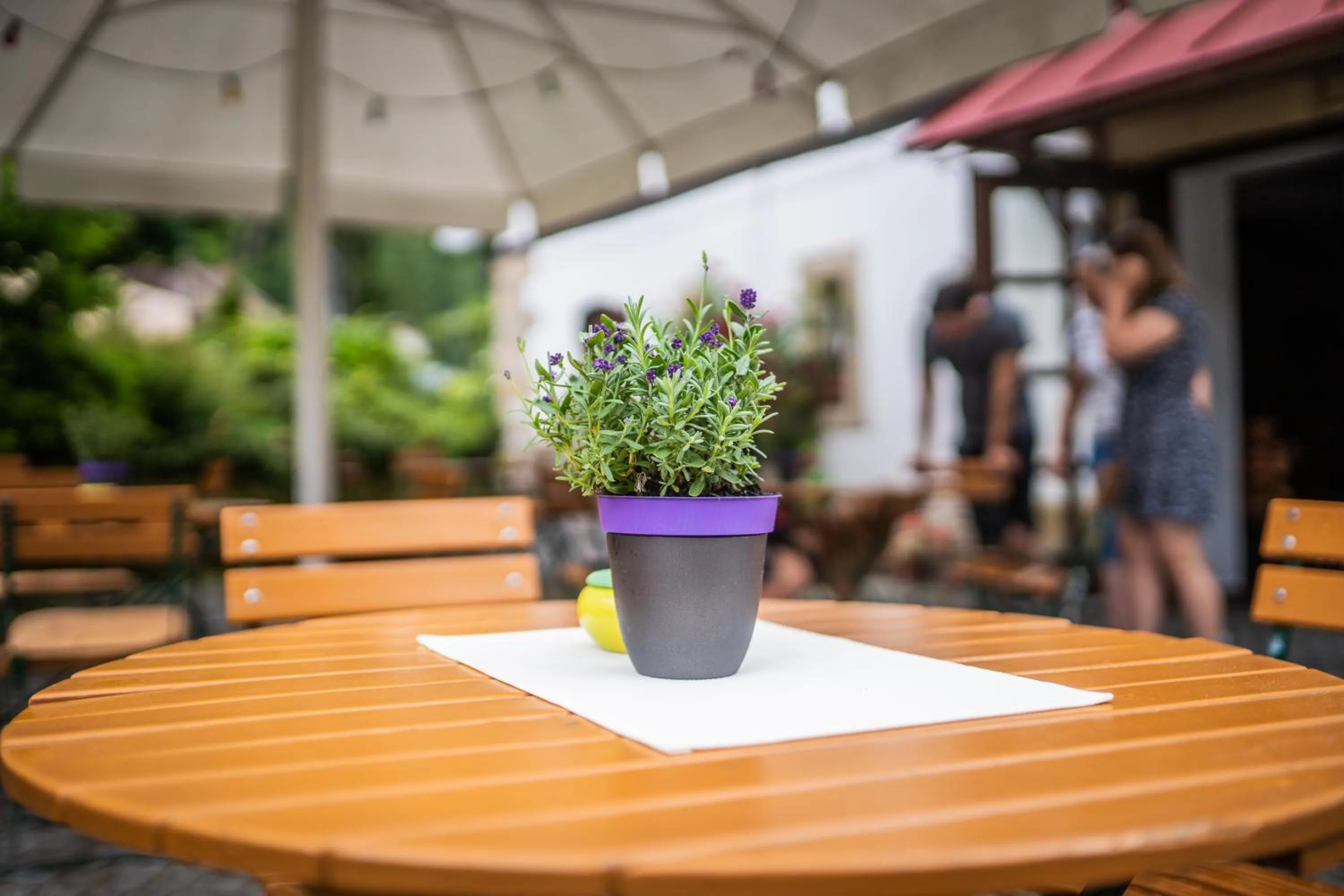 Garden in Gasthof Alte Schmiede G*** Lückendorf