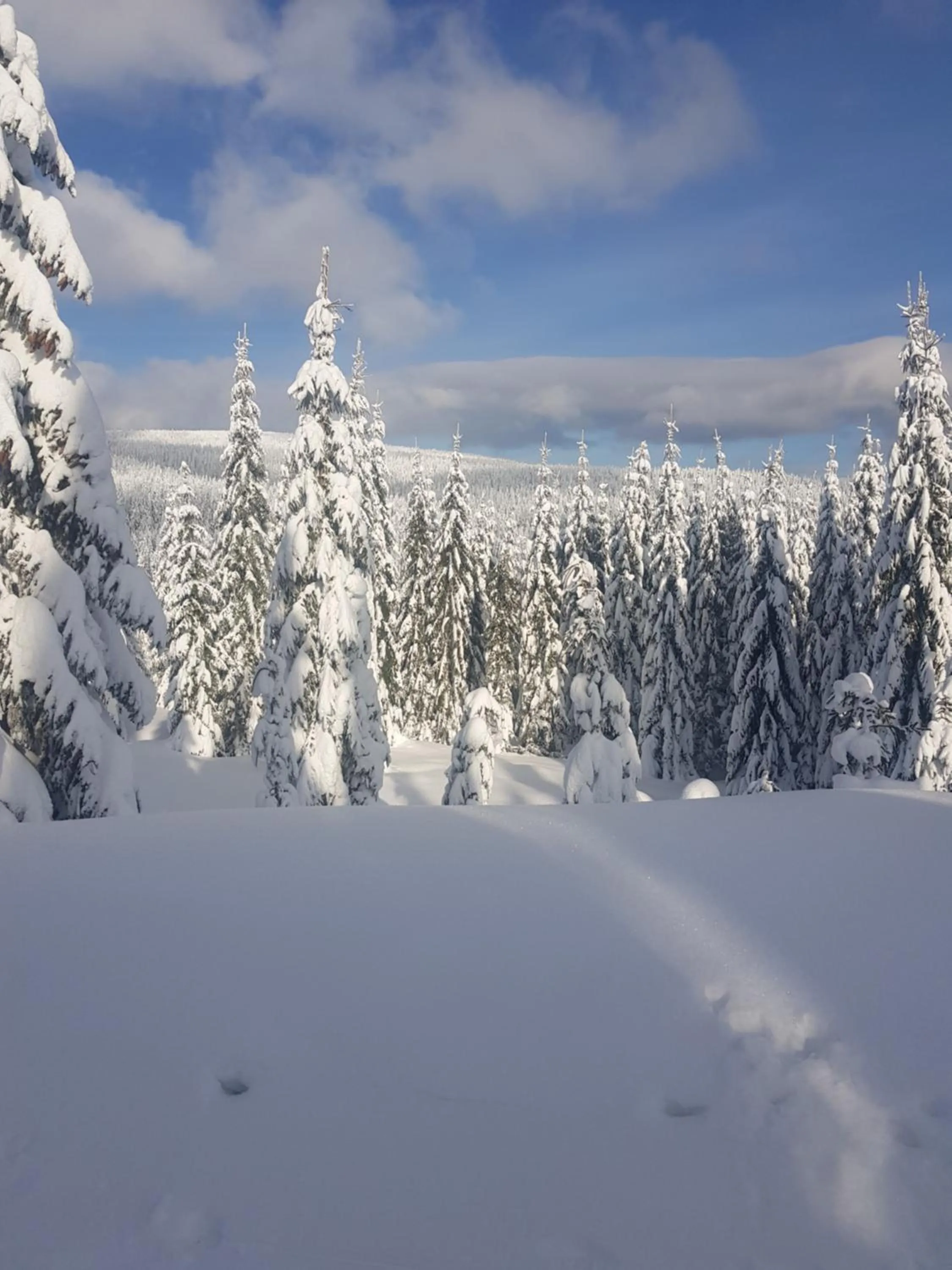 Natural landscape in Gasthof Alte Schmiede G*** Lückendorf