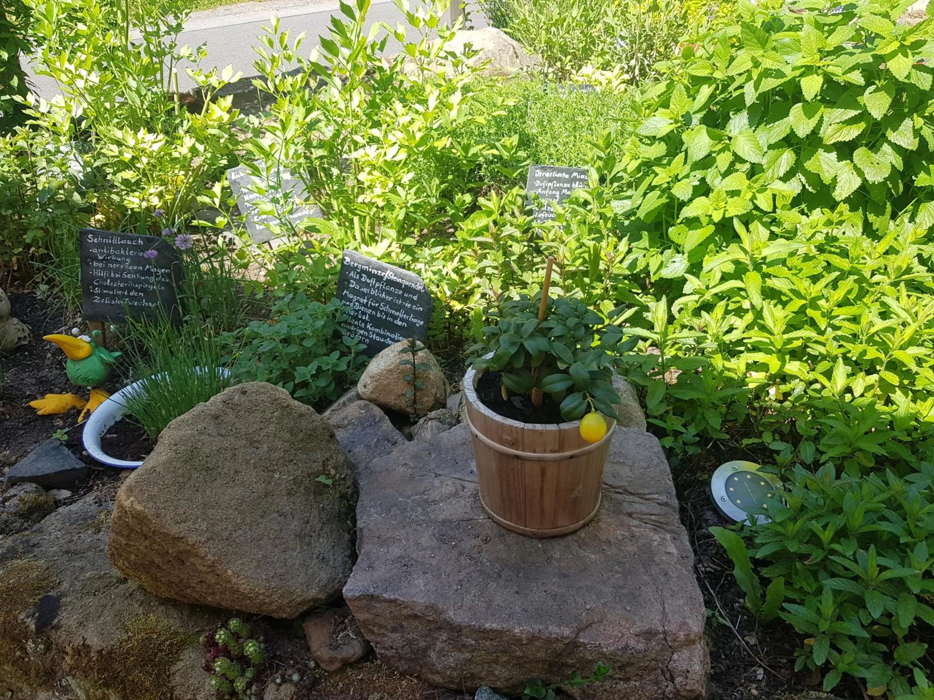 Spring in Gasthof Alte Schmiede G*** Lückendorf