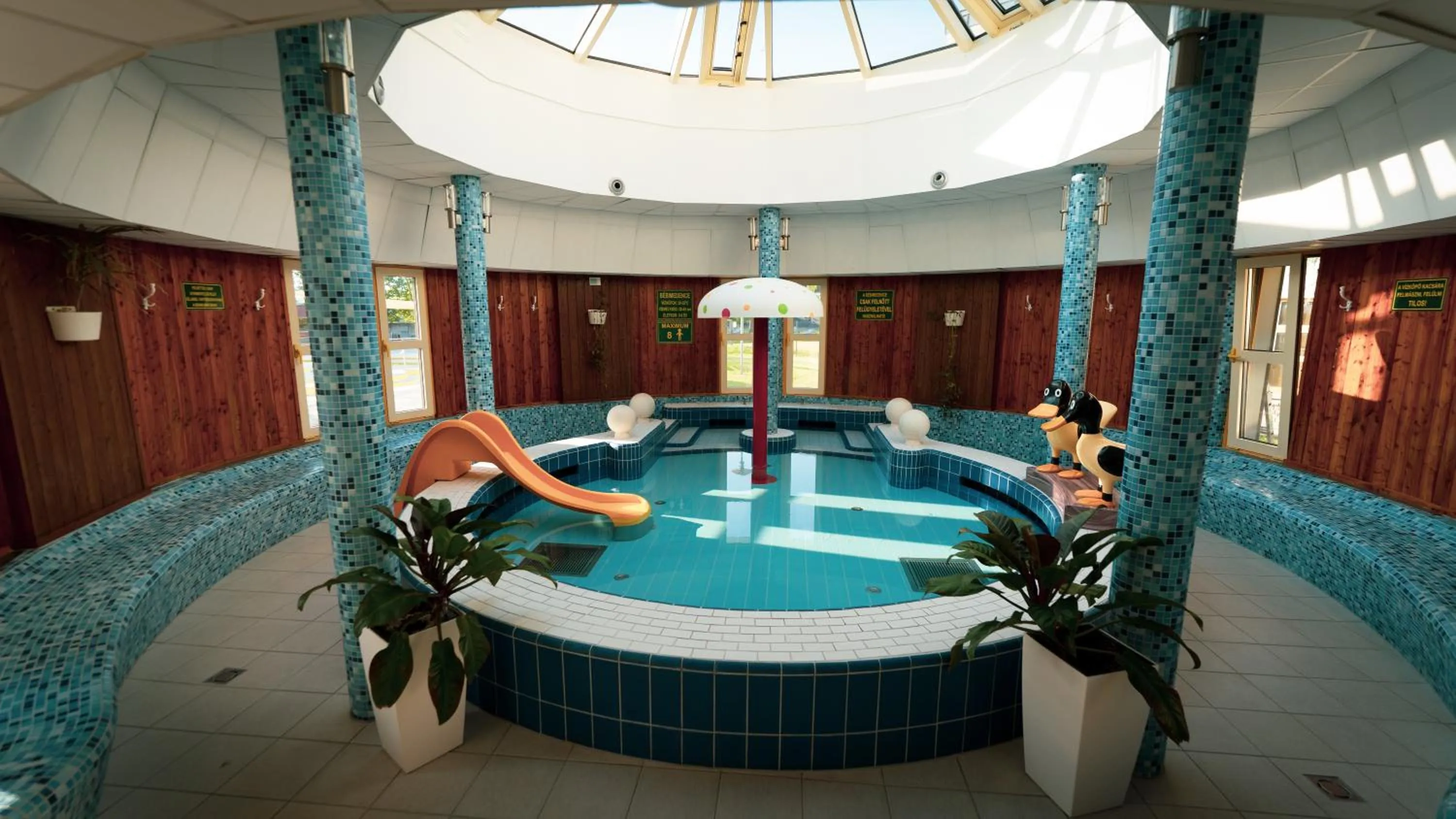 Swimming pool in Tisia Hotel & Spa