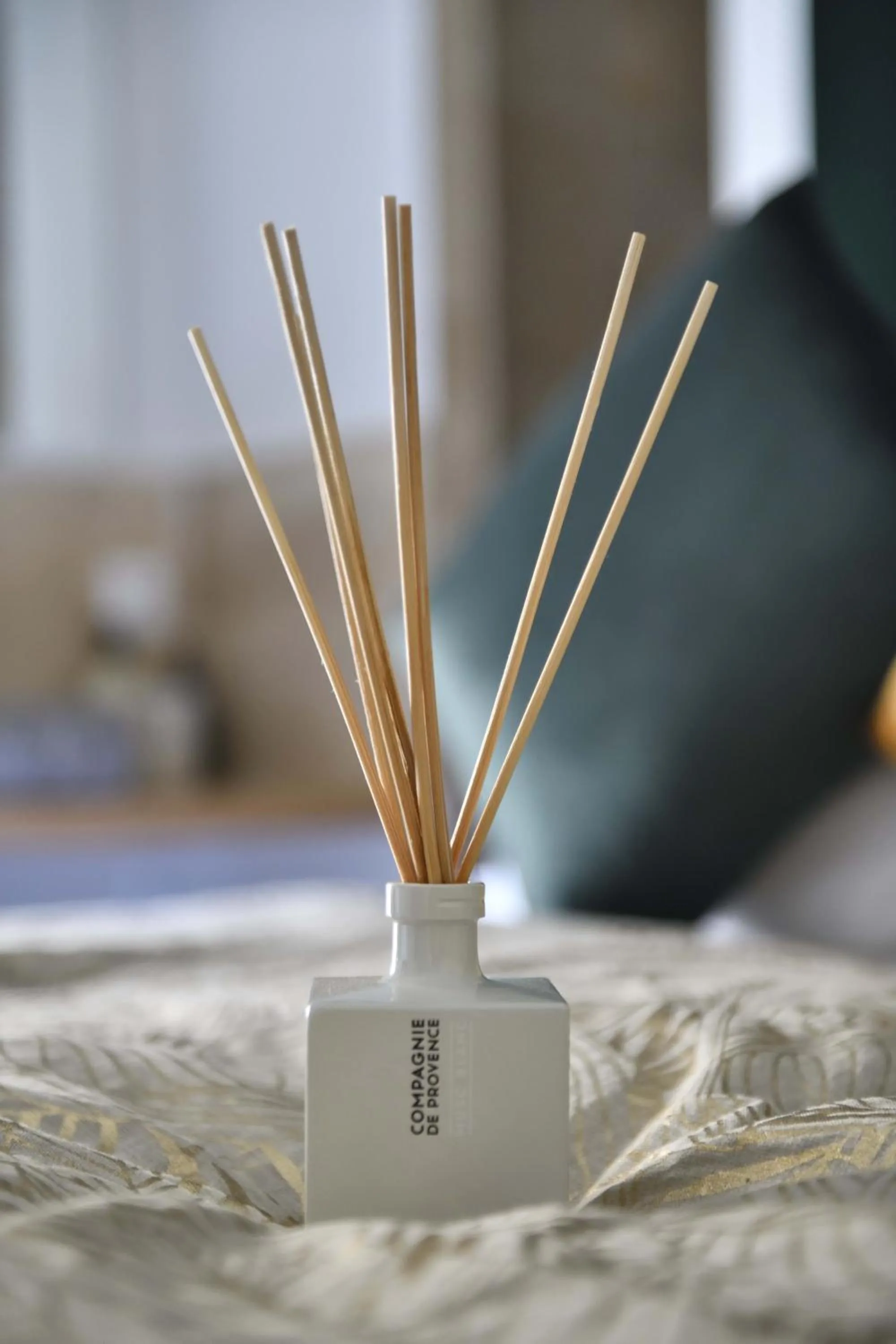 Decorative detail in La Maison de Lourmarin