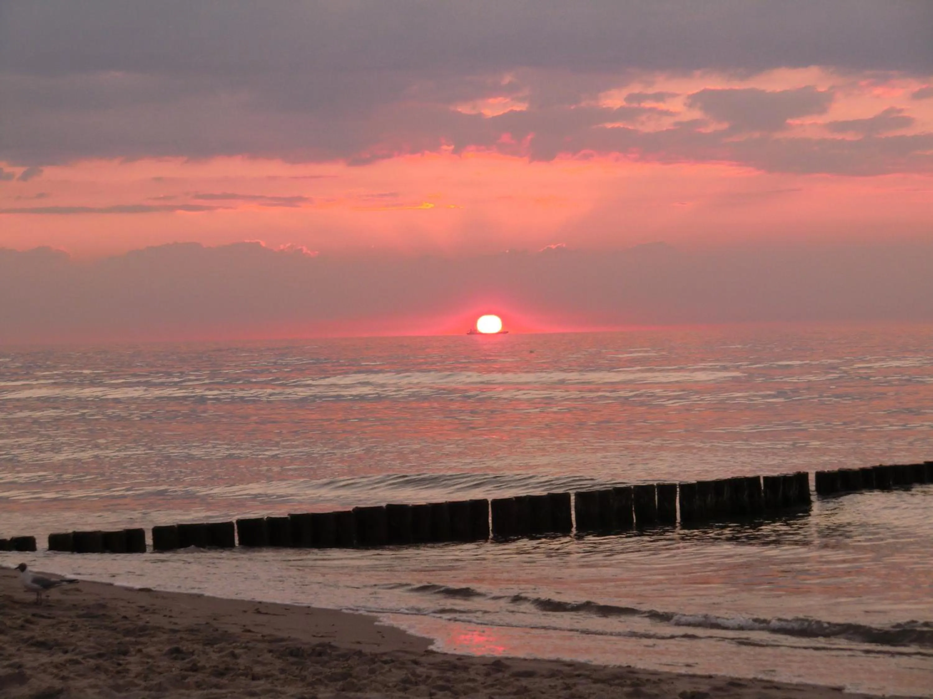 Beach in Landhotel Ostseetraum & Fewo