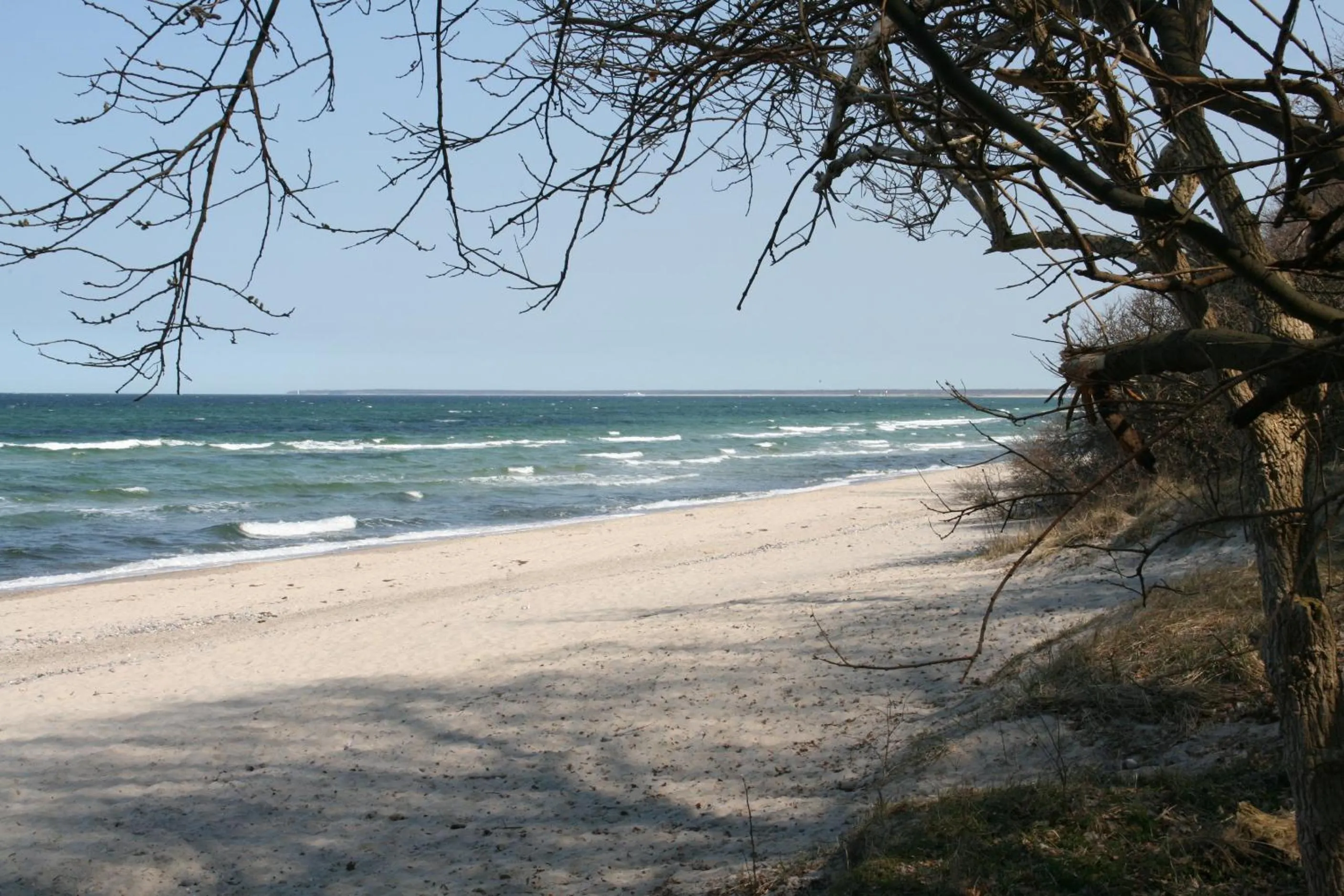 Beach in Landhotel Ostseetraum & Fewo