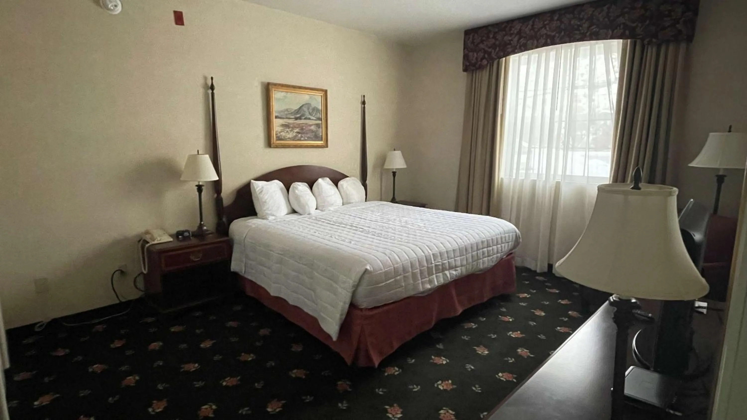 Bedroom, Bed in SureStay Hotel by Best Western Eureka