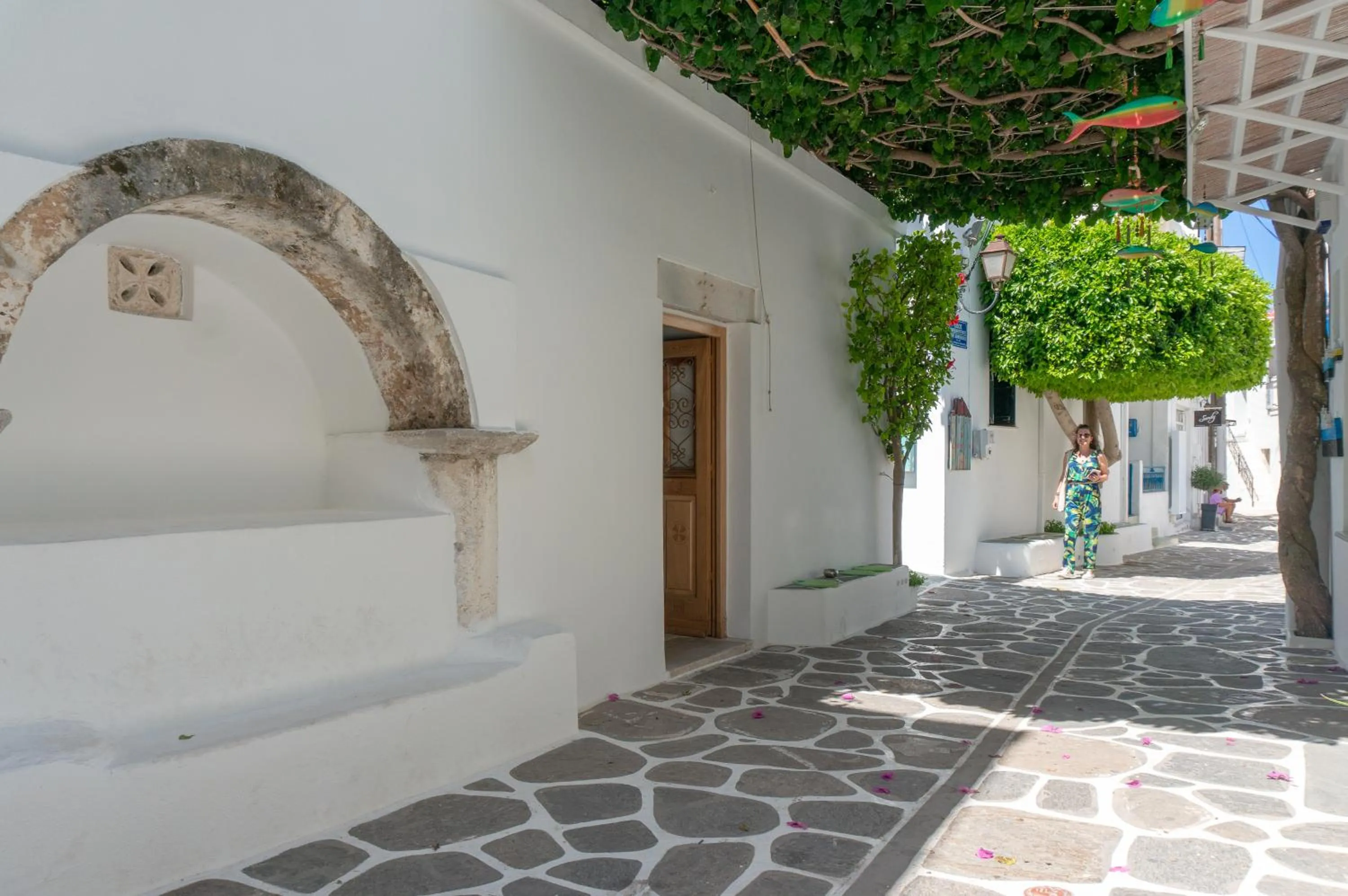 Other in Pelican Paros