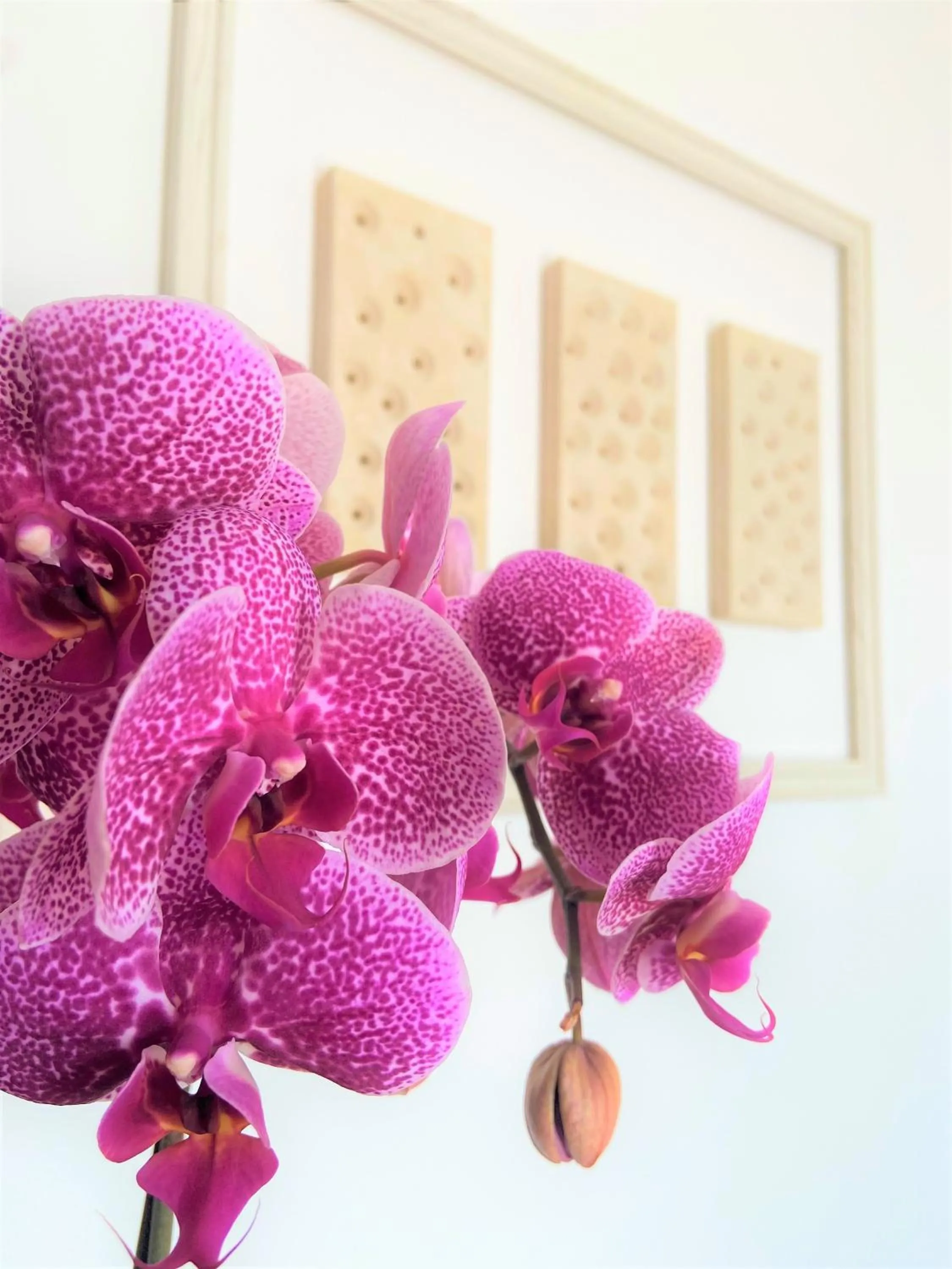 Bedroom in B&B Brezza Salentina