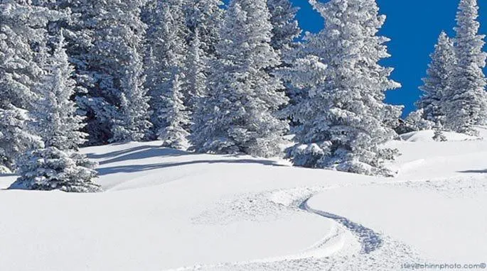 Natural landscape in GetAways at Falcon Point Resort