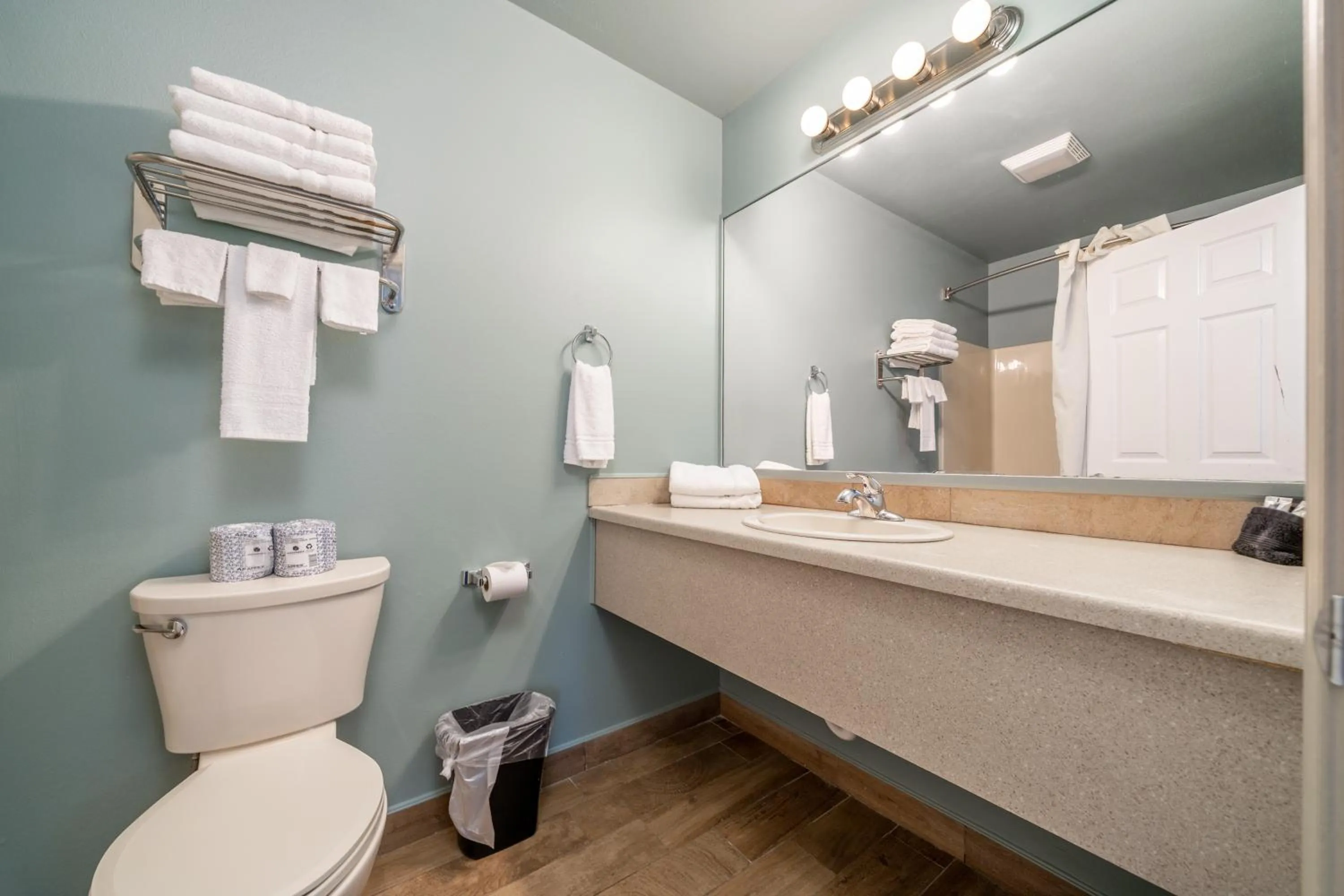 Bathroom in The Hamilton - Lakefront & Studio Suites, Hot Springs