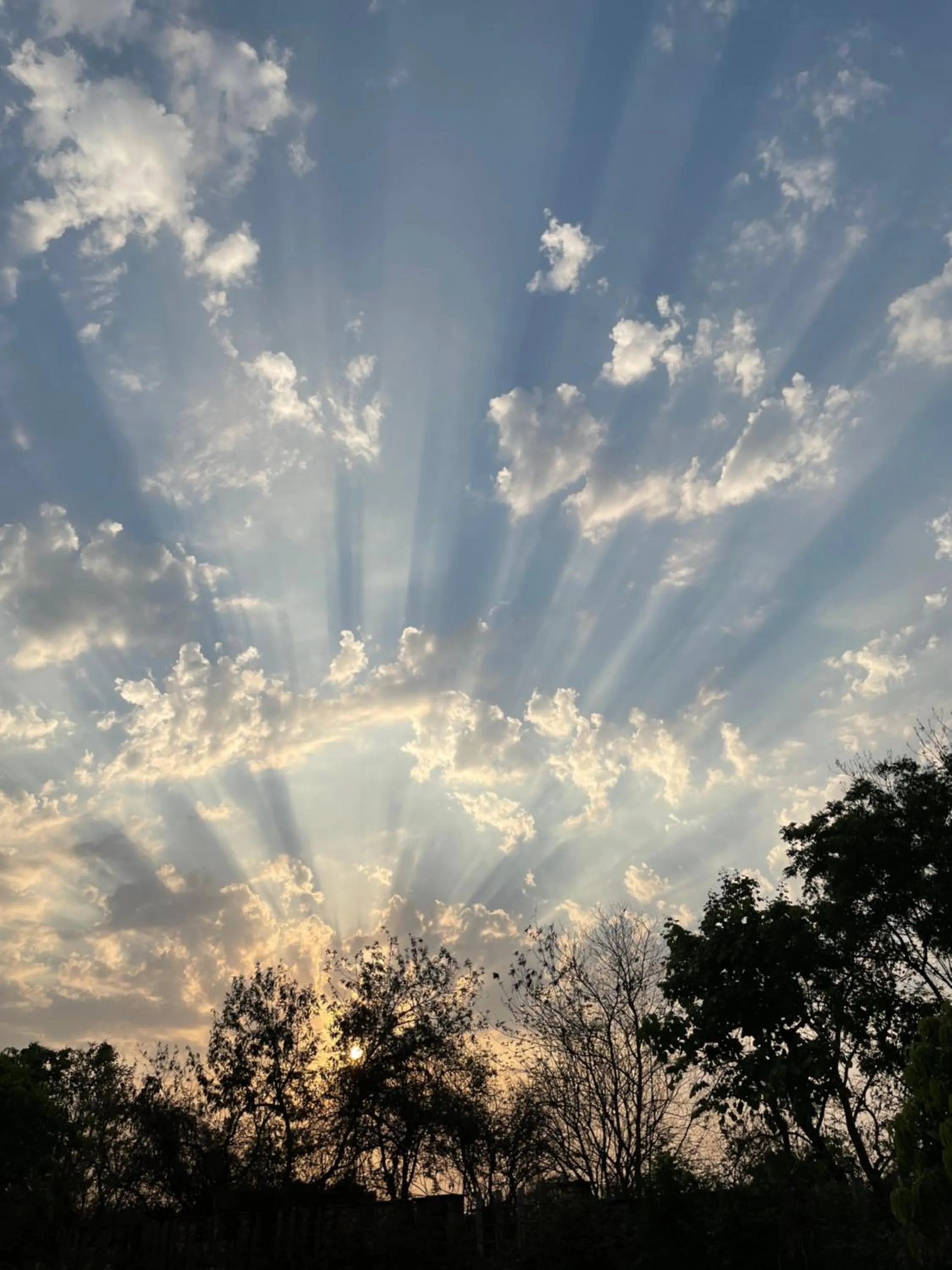 Garden in The Postcard Gir Wildlife Sanctuary