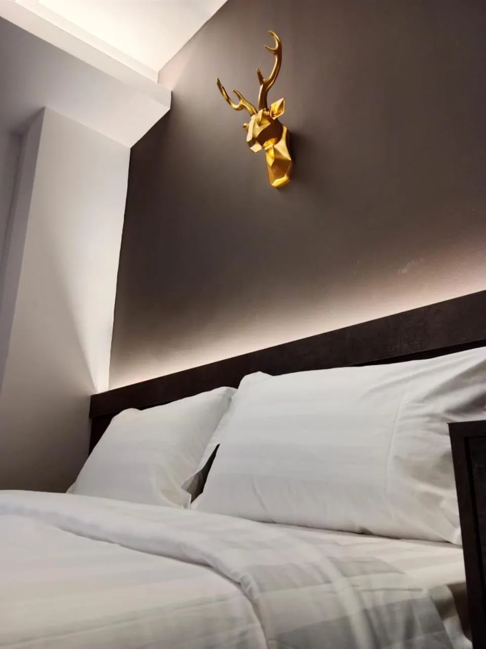 Bed in Zone Hotel Ipoh