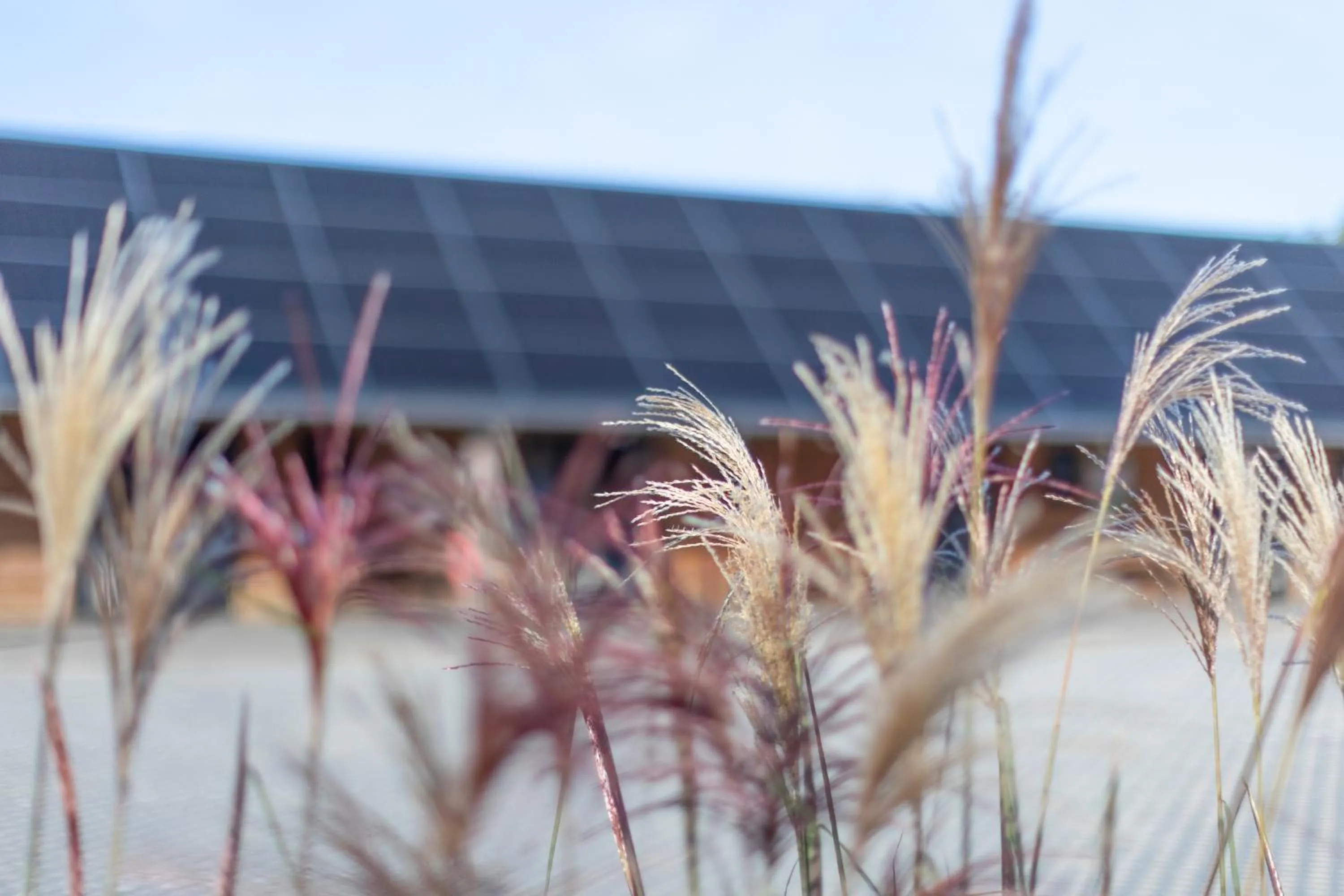Lodges at Flimwell Park