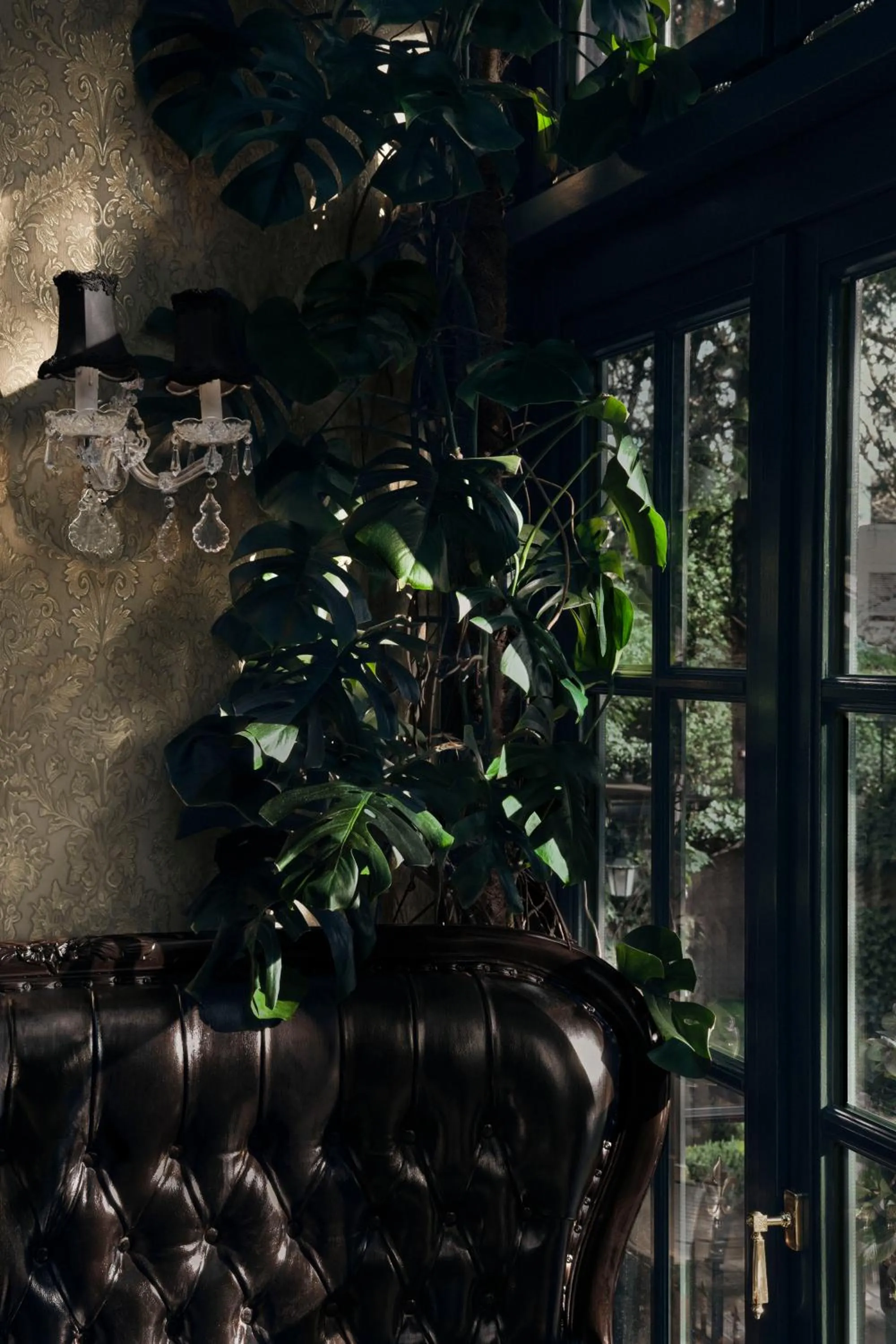 Library in Hotel Villa Achenbach