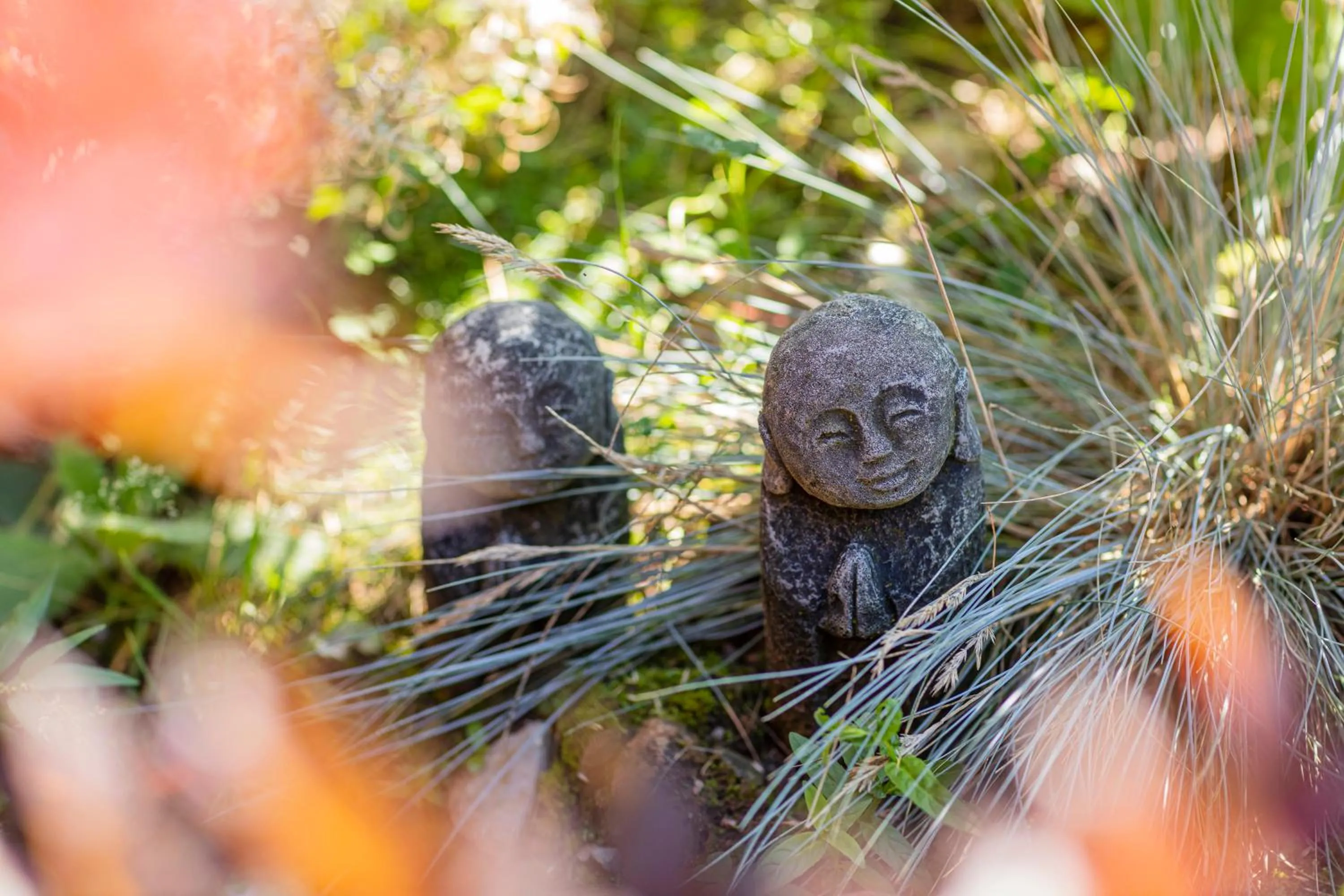 Garden in Hotel Langenwaldsee