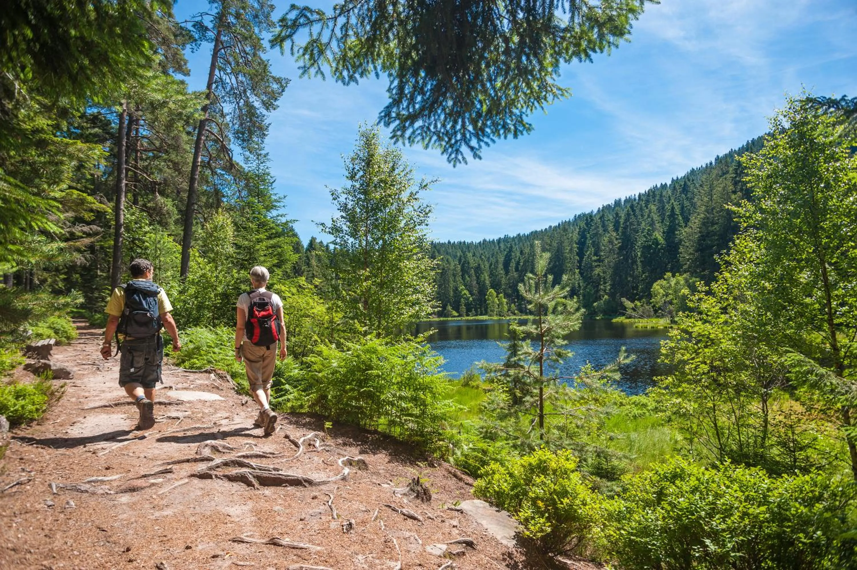 Hiking in Hotel Langenwaldsee