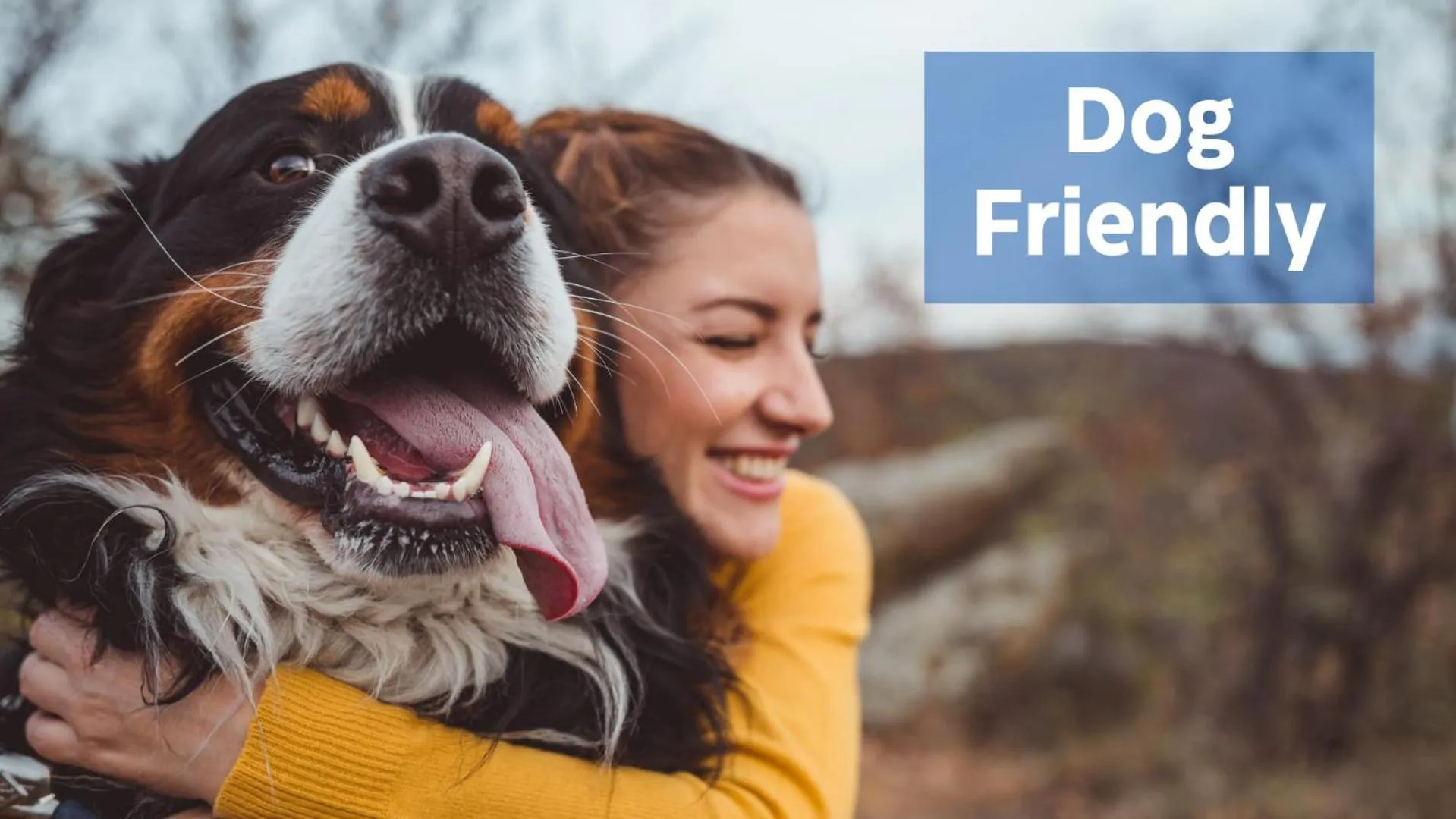 Pets in Hot Tub, Deck&Grill, Game Room, WiFi at Cute Cabin