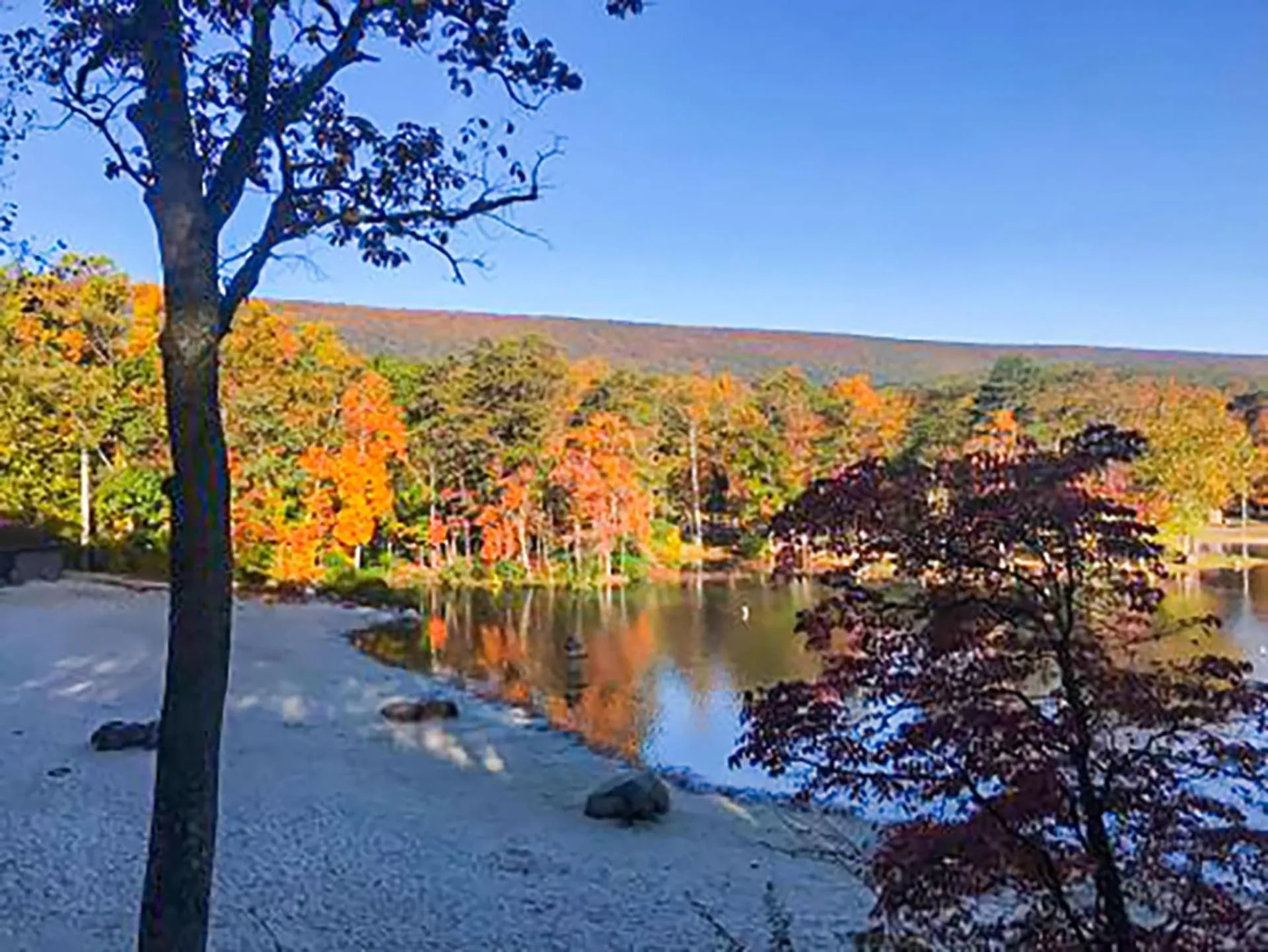 Natural landscape in Hot Tub, Deck&Grill, Game Room, WiFi at Cute Cabin